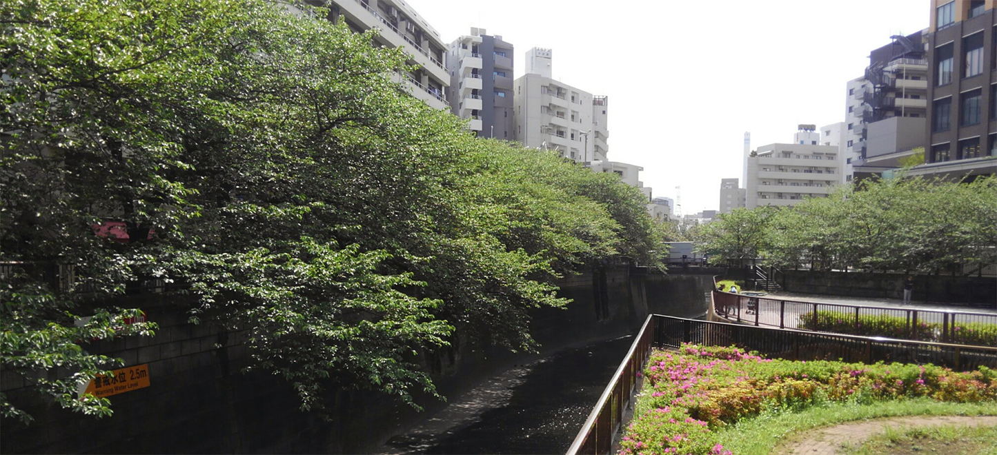 【レポート】お花見交流会のご報告