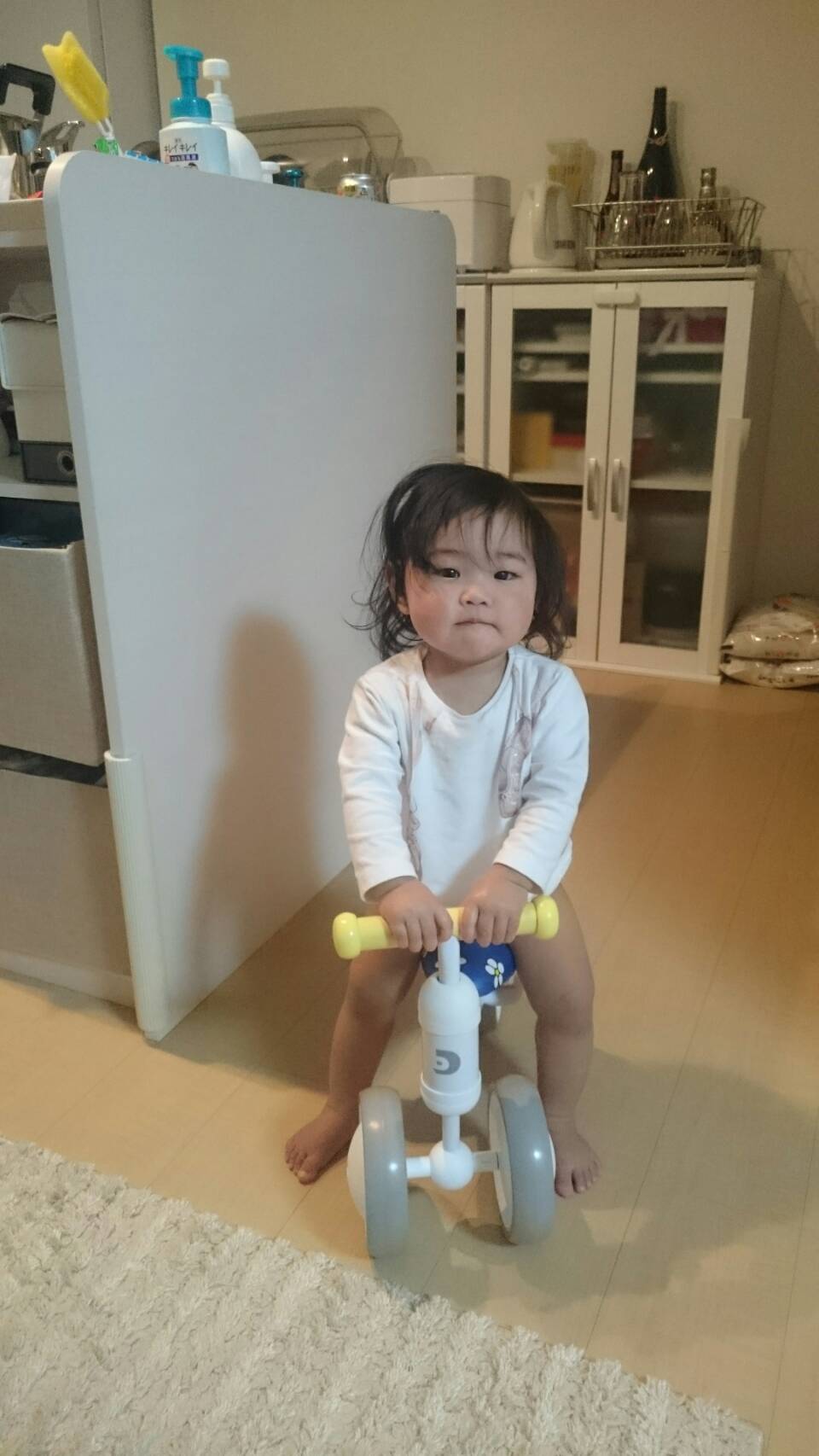 hibi-seityo