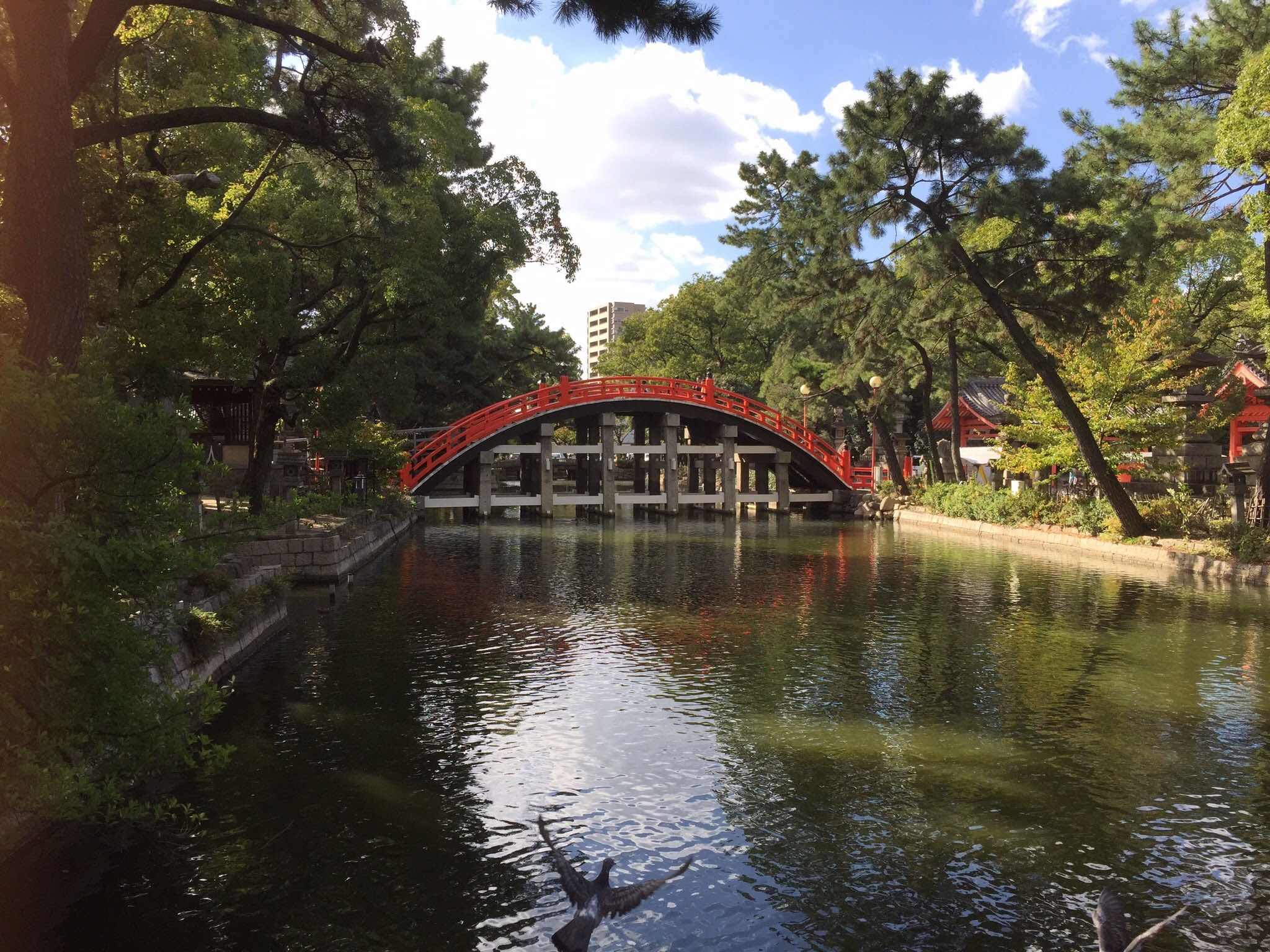 大阪生まれの豪州育ち、その後神奈川西湘から湘南へ