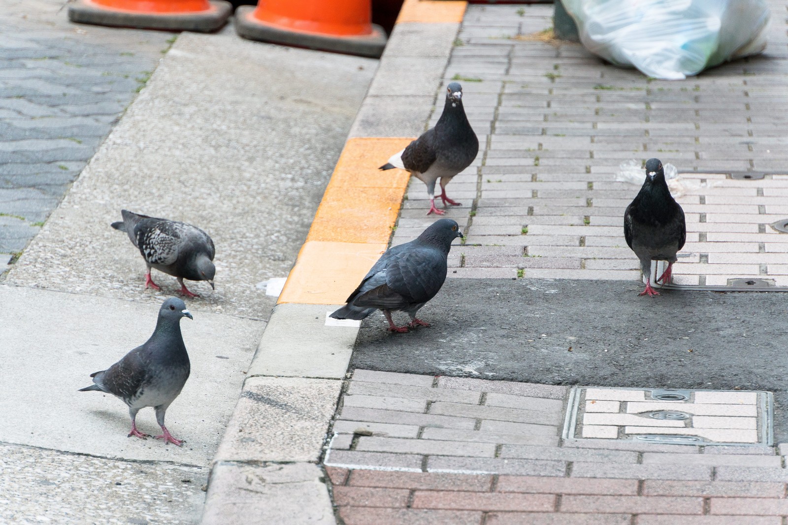 【退職エントリー】ディップの膿からの脱出