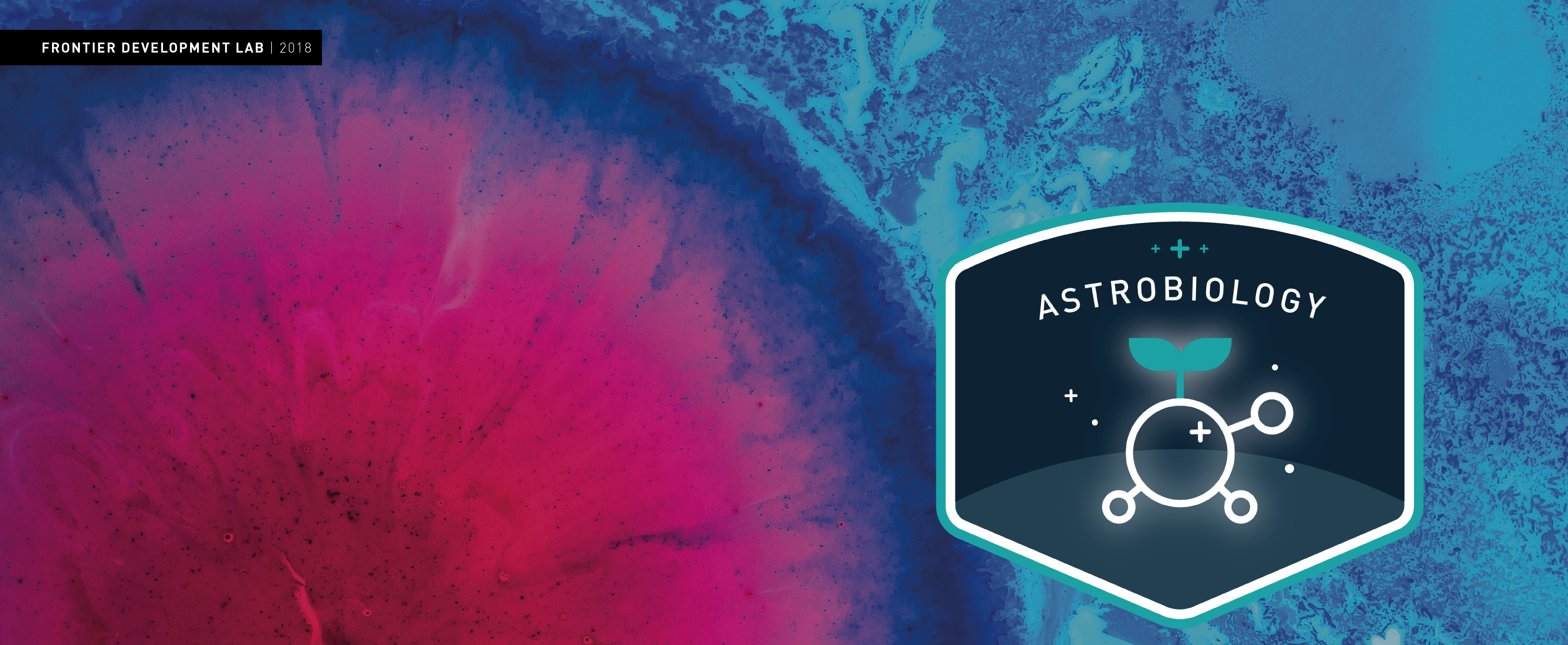 NASA Frontier Development Lab