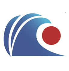株式会社デジタルシフトウェーブ