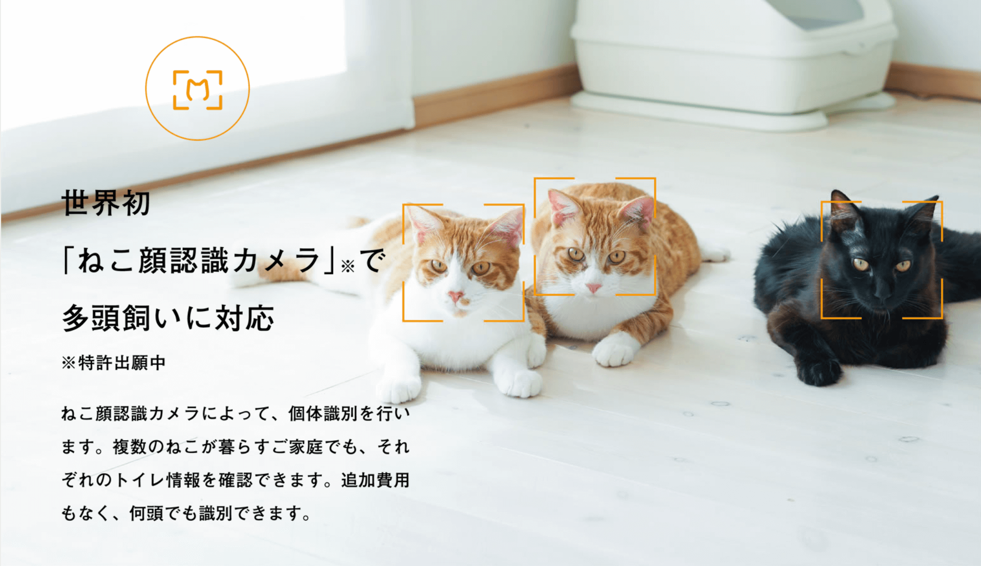 世界初の ねこ顔認識カメラ は私が開発しています 株式会社トレッタキャッツ