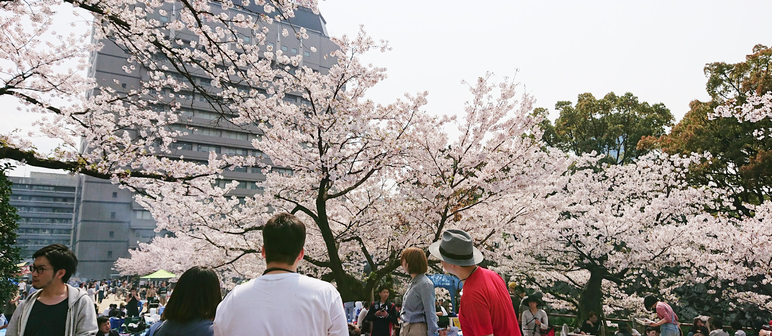 【メンバー記】東京▶︎転職▶︎地方ベンチャーで何を学んだかをまとめました