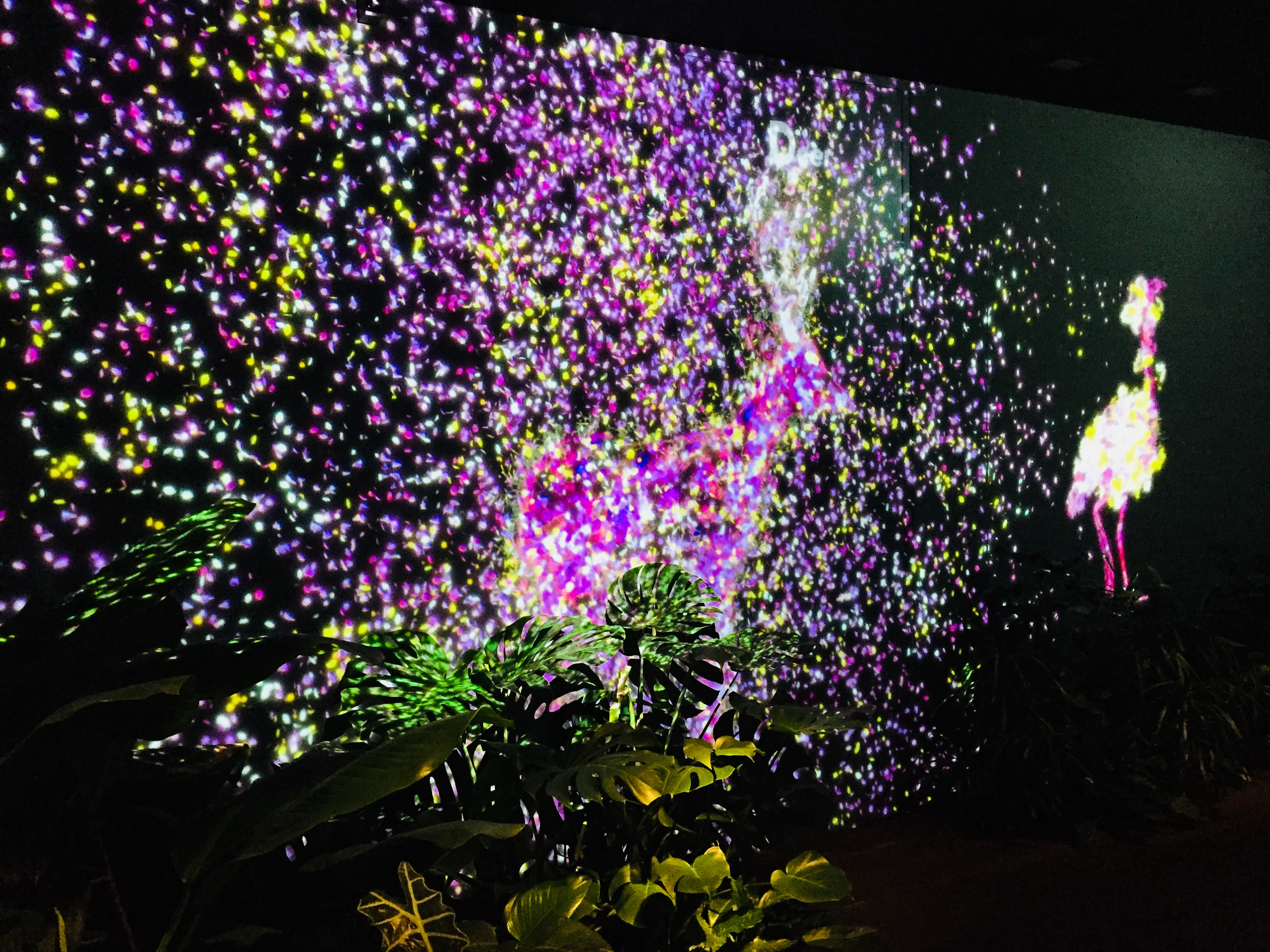 【DMM.com社で就活イベントを行いました！】