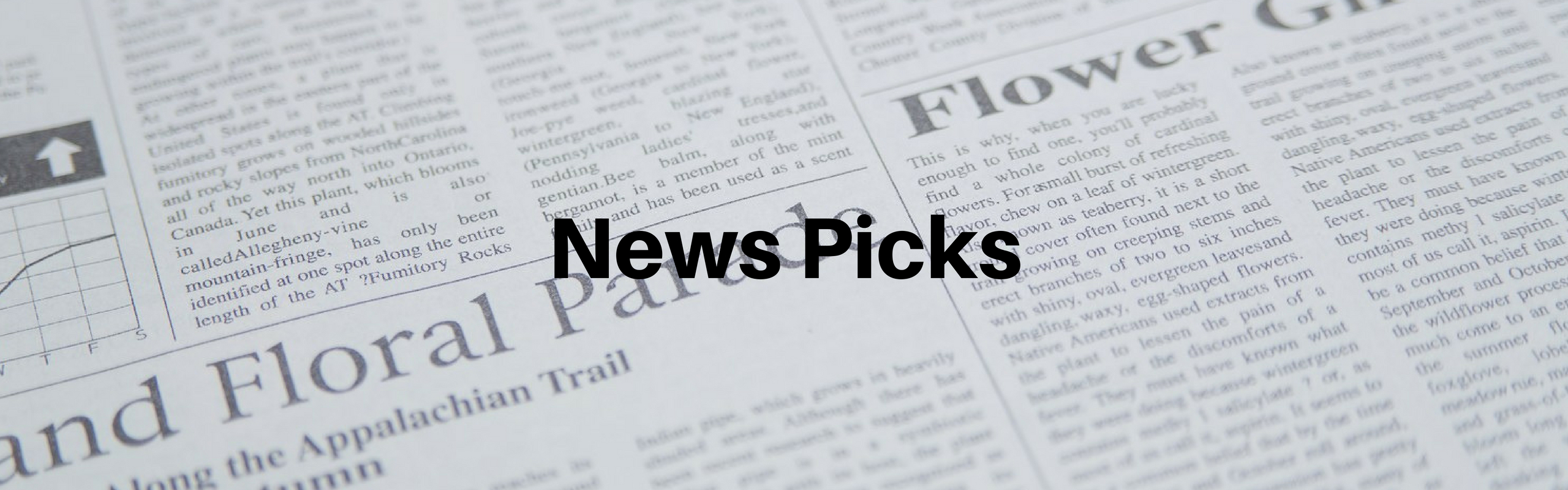 ソーシャル経済メディア「NewsPicks」に、弊社代表粕井のインタビュー記事が掲載されました！