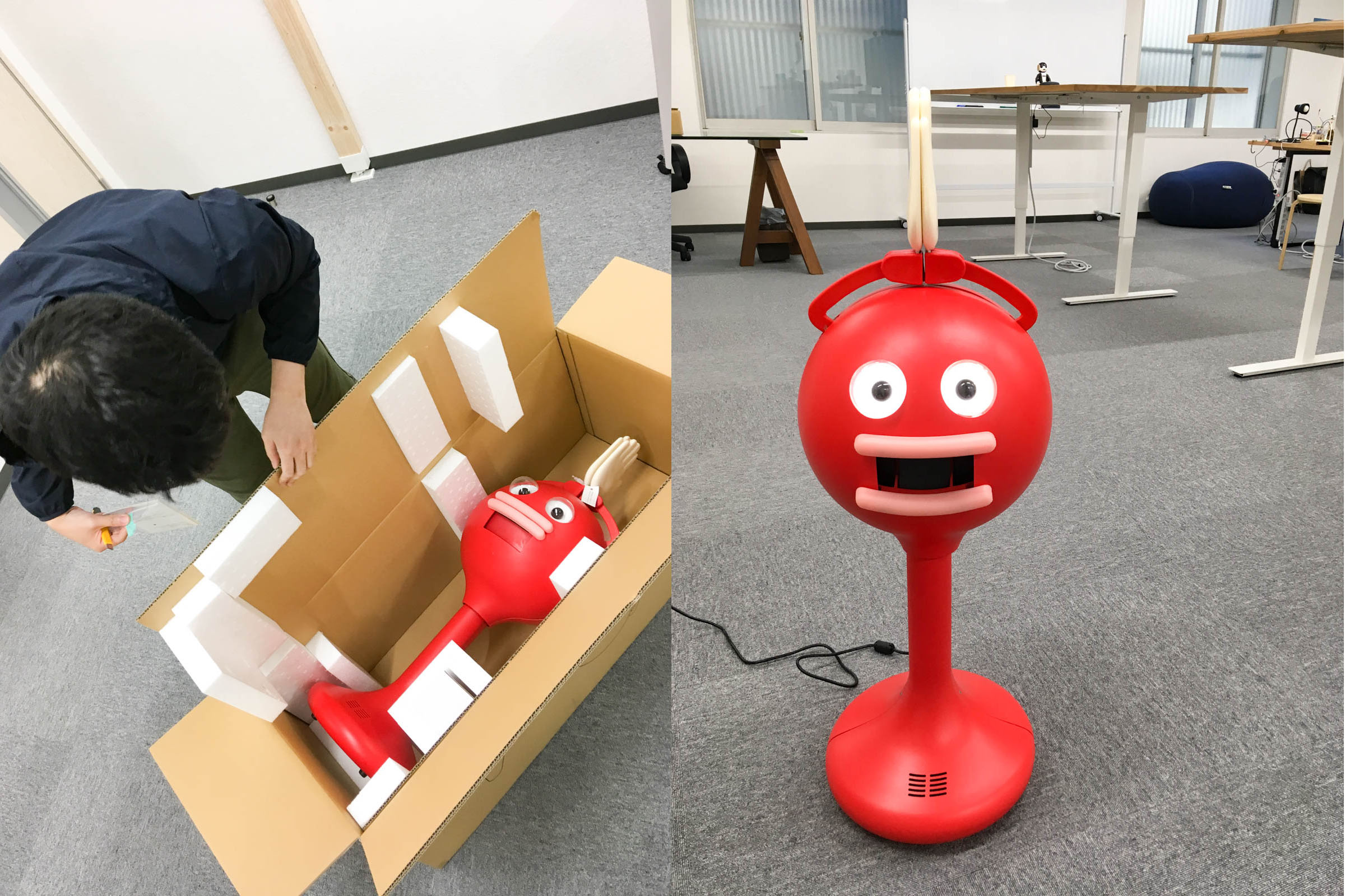 大型新人 来る