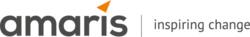 Amaris International Consulting Group