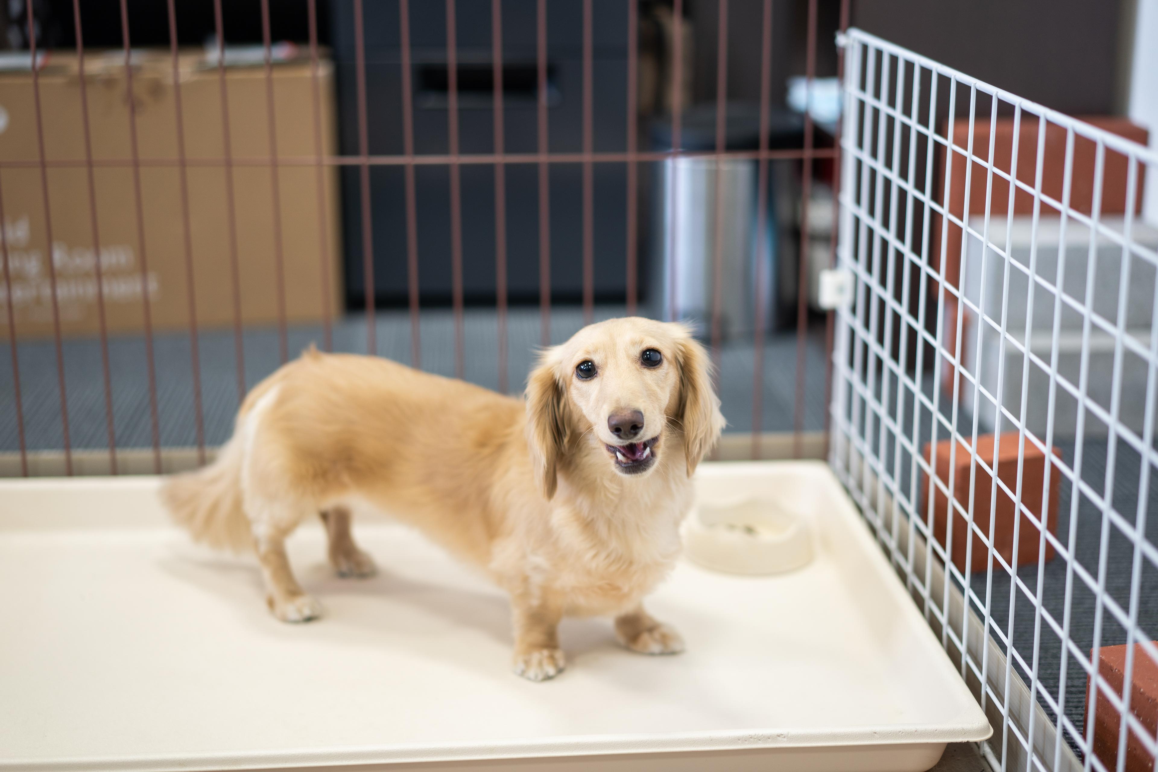 「障害者」なんて人はいない。あるのは得意か不得意かだけ。