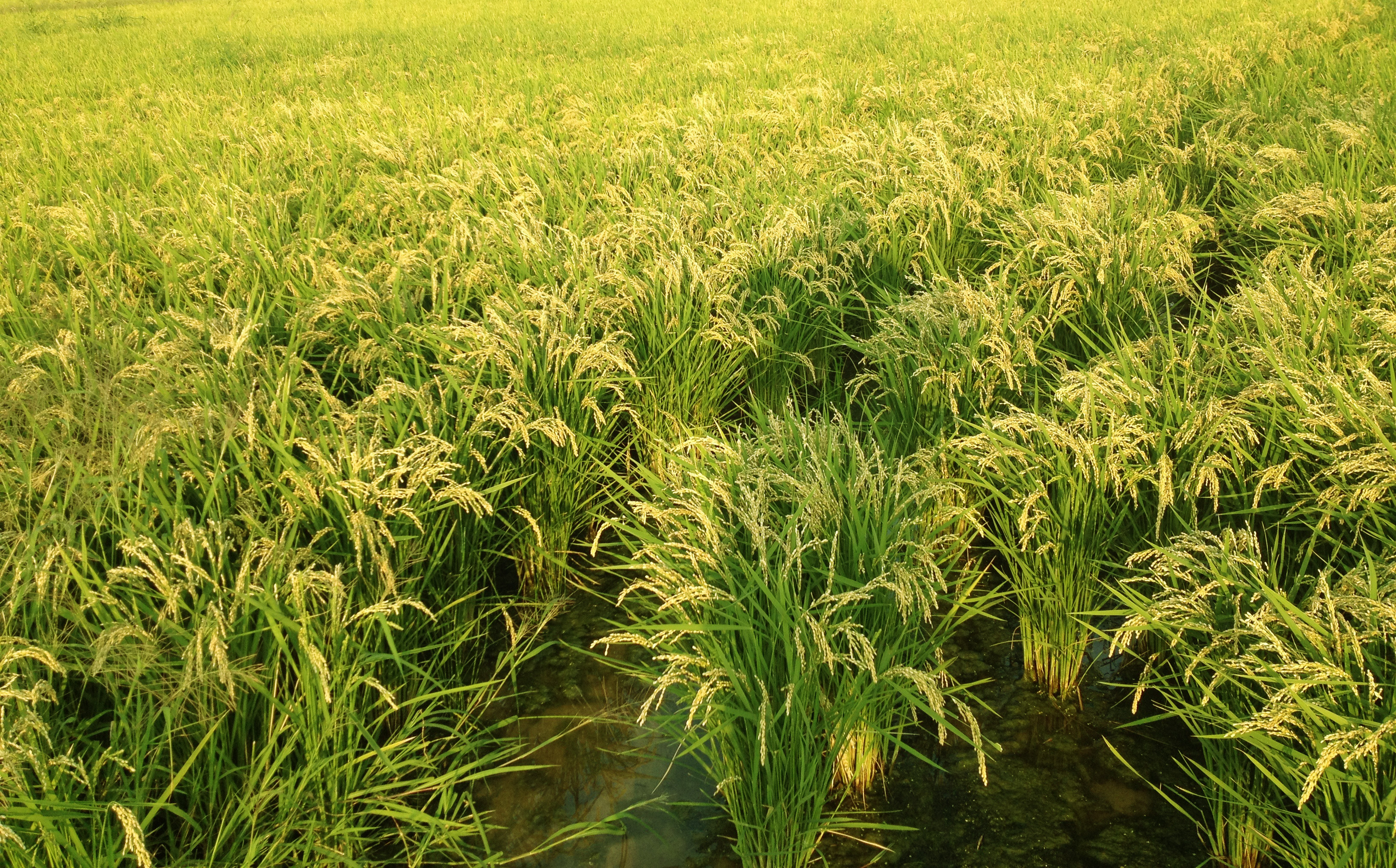 副業OKな弊社で働く私が副業経験を振り返ってみての所管