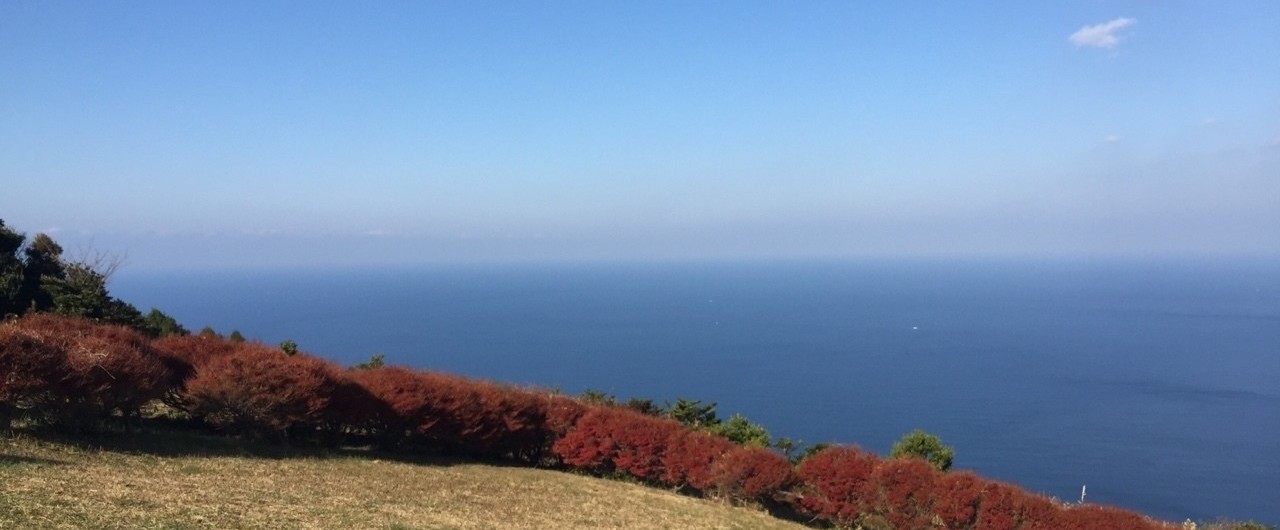 幸福とは、新しい発展に参加すること