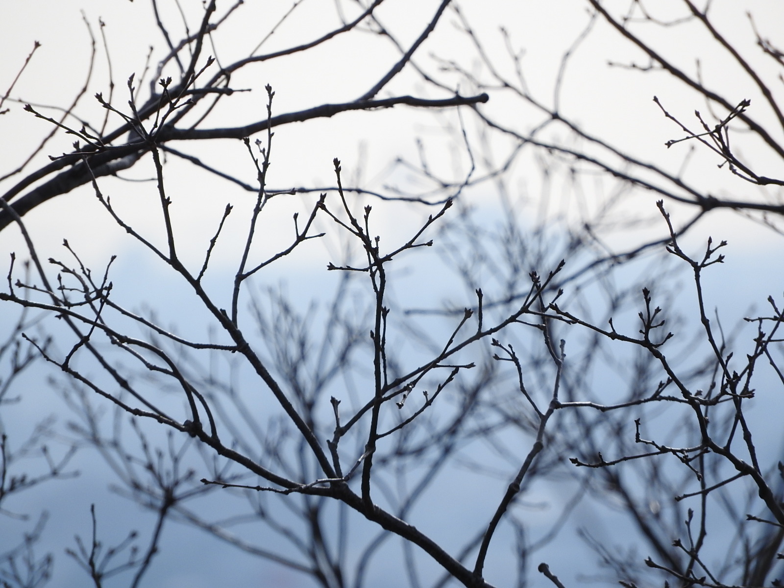 monoii沖縄通信（#12デバッグチーム）