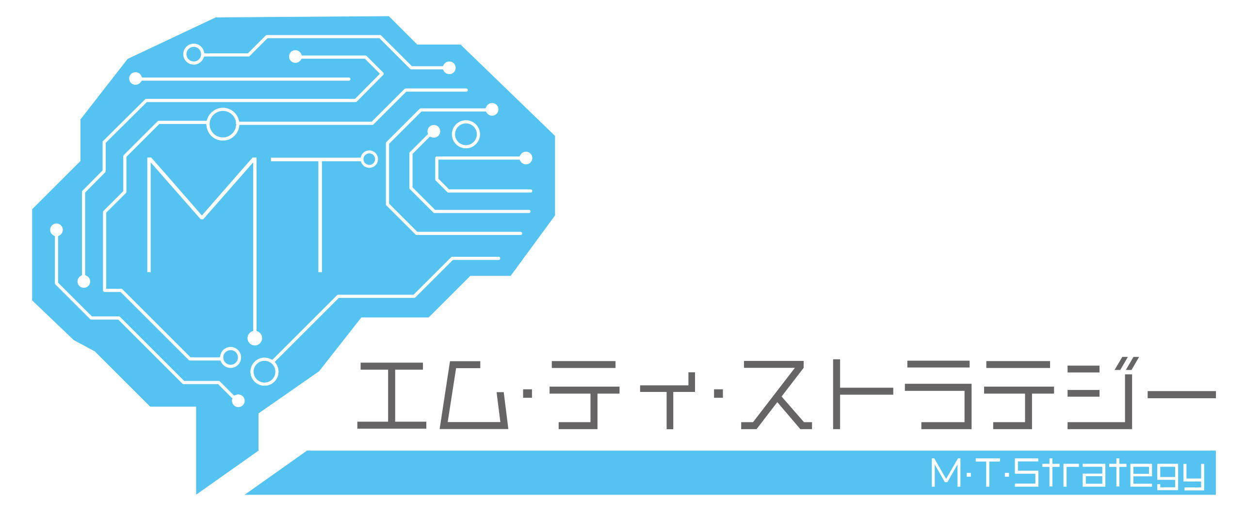 エム・ティ・ストラテジー株式会社