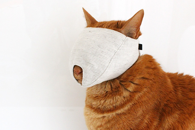 爪きりで大暴れする猫さんへ