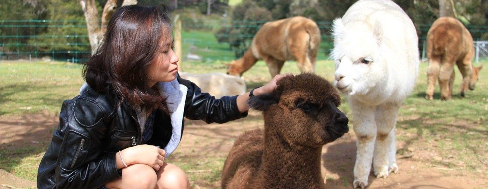 Destination Unknown: Anywhr in the World