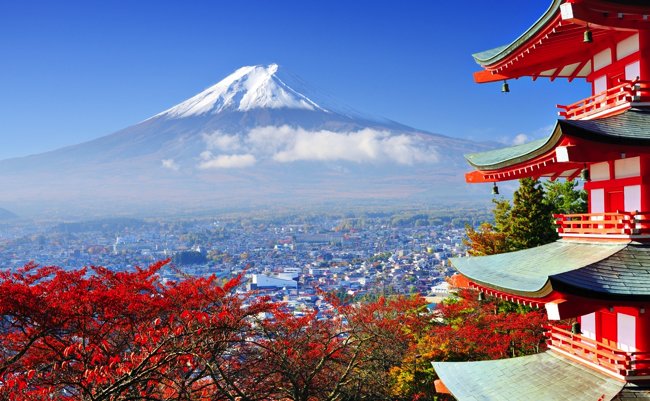 教育を革新し日本を強くする