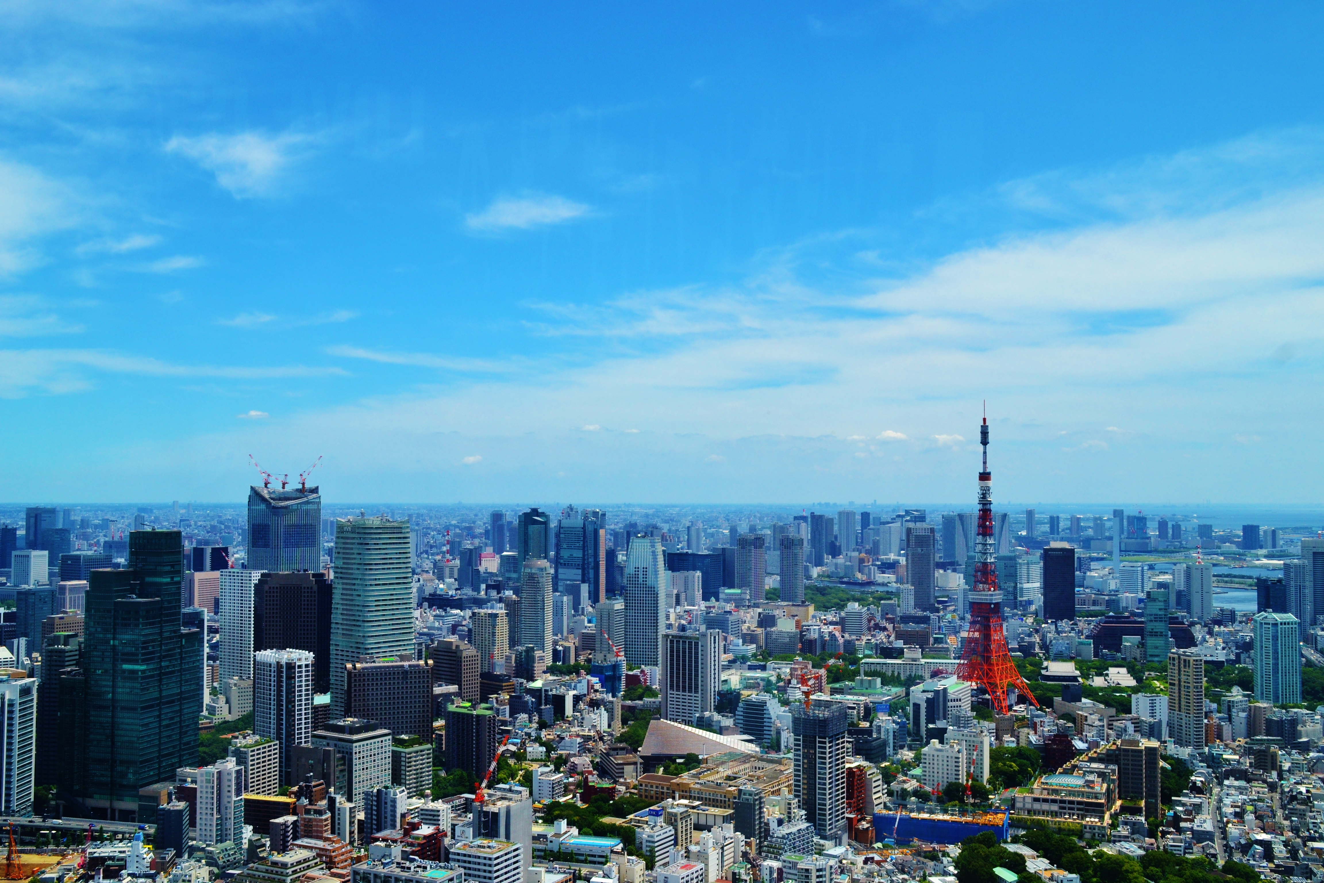 福岡で育ち、東京で9年間暮らし、また福岡に戻って感じること 〜通勤・家 編〜