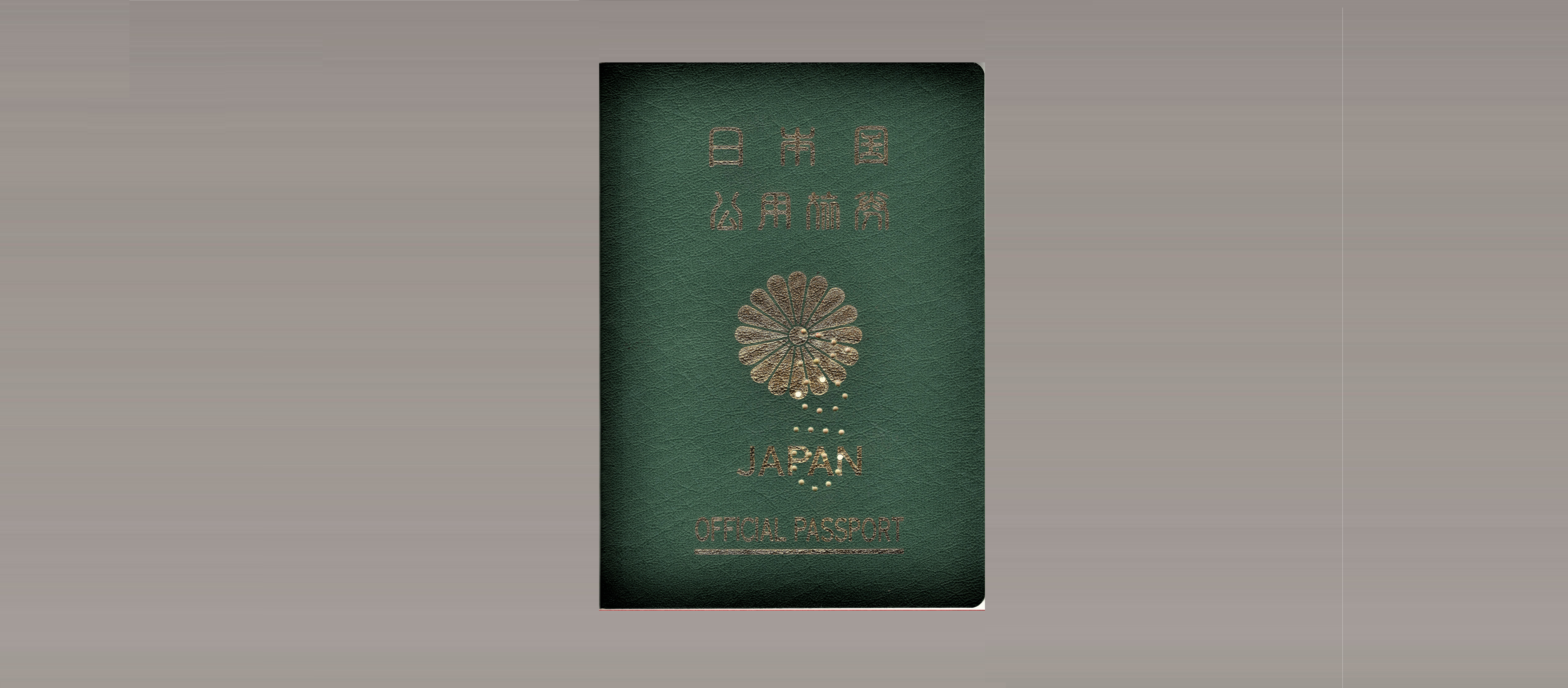 訪れた国や地域（中期）