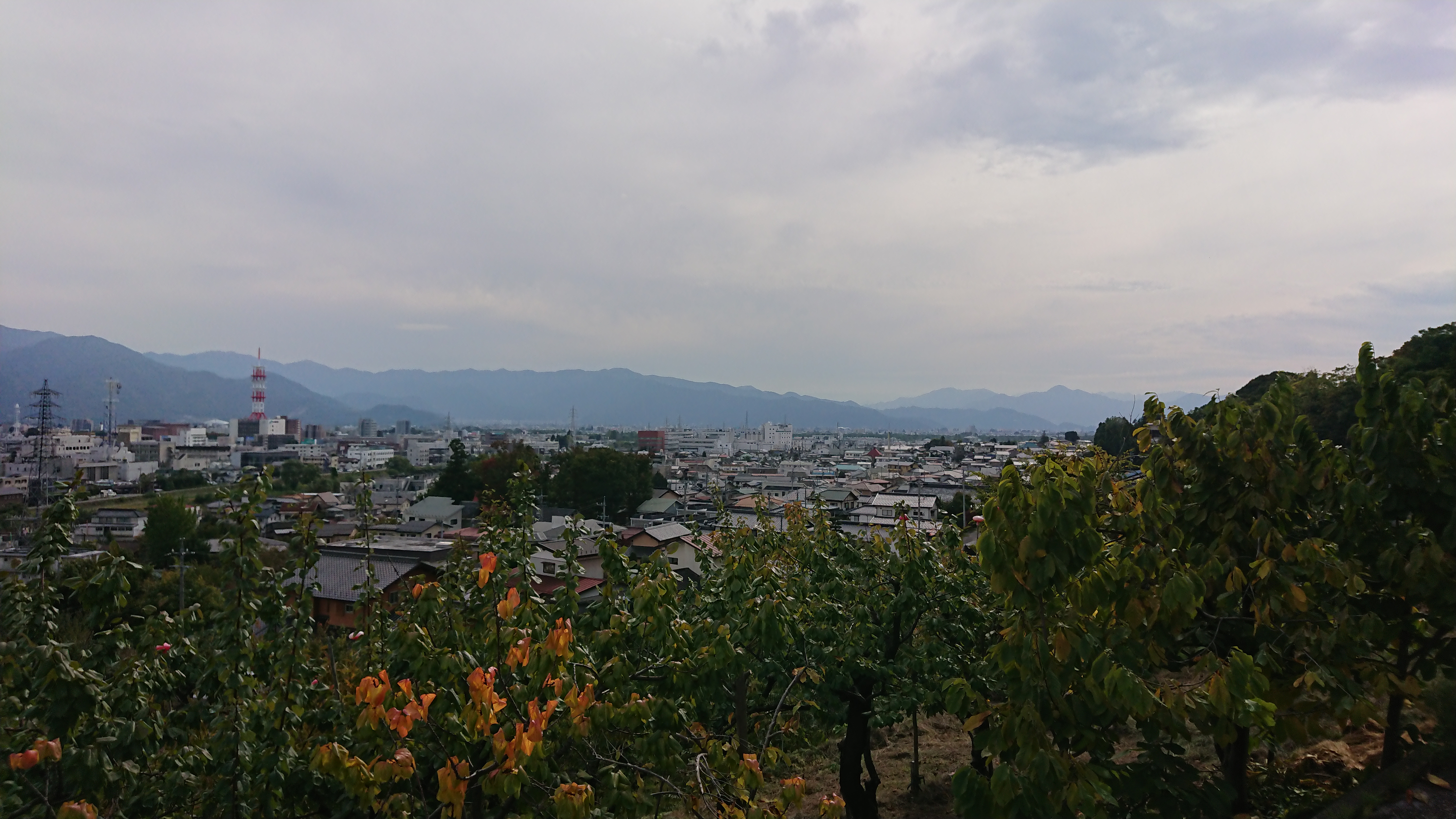 MandrillのWebhocksとDjrillの組み合わせ