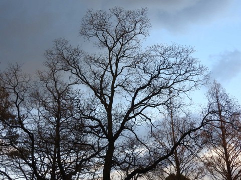 monoii沖縄通信（#18デバッグチーム）