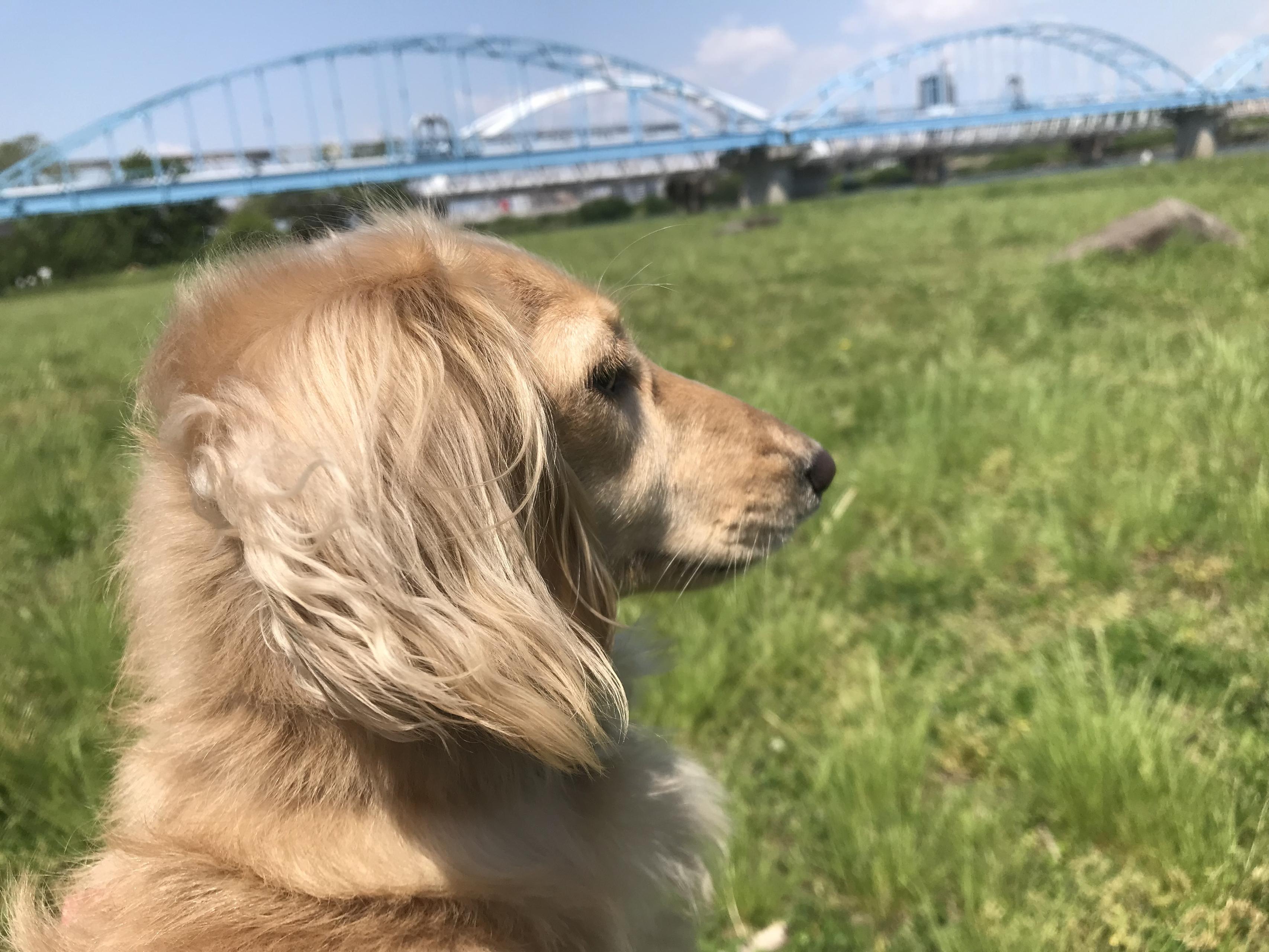 給料を上げて休みを増やすことが働く目的であって理念や事業内容なんかどうでもいい。