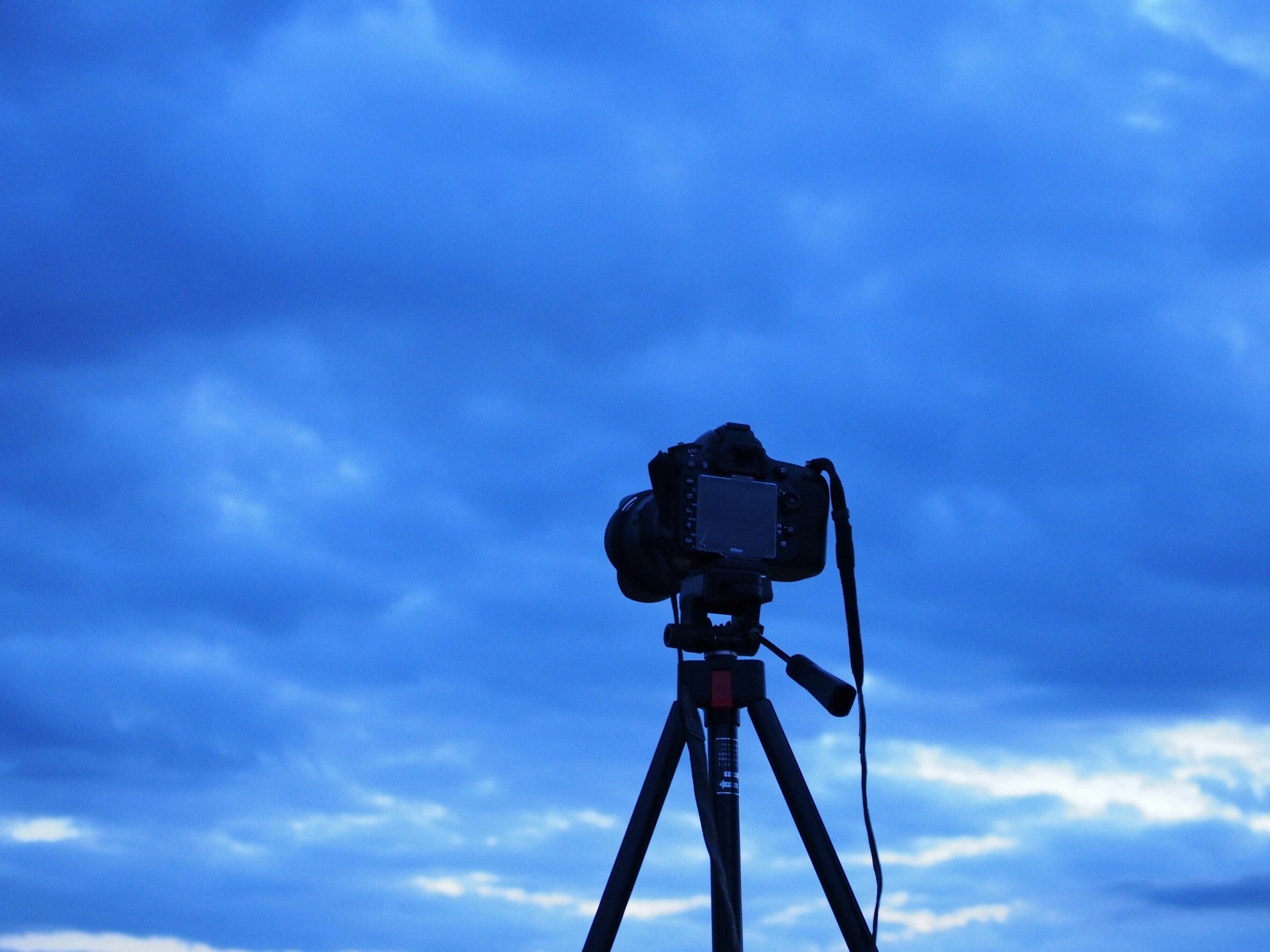 人の役に立つということを理解できた