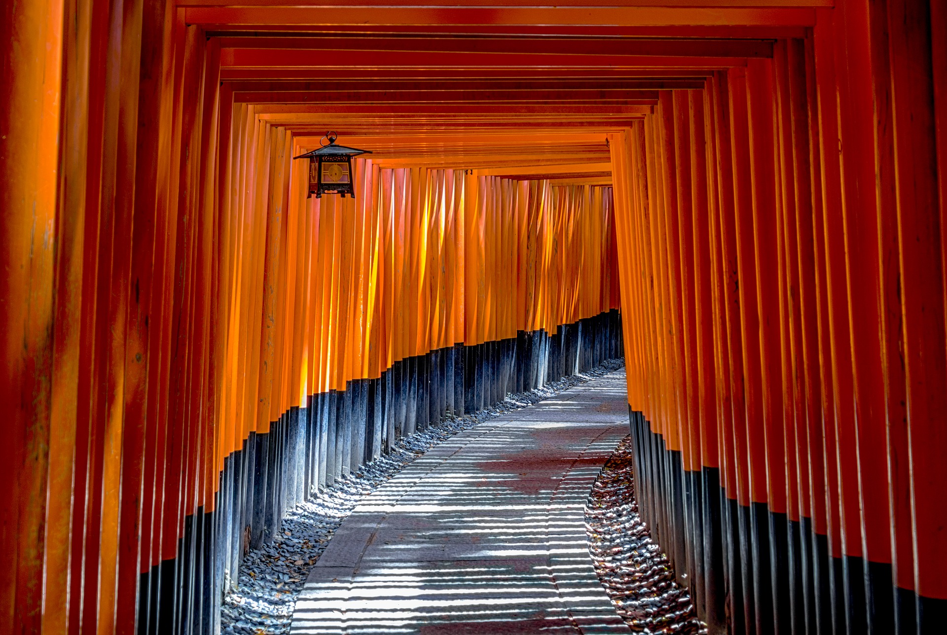 Globalization based on Japanese civilization ~ What Zenport wants to achieve