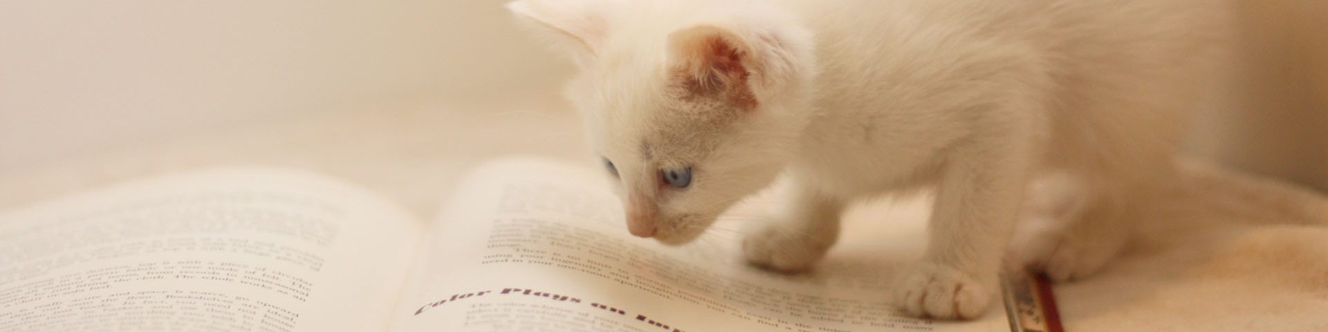 「ファッション領域のクリエイティビティ」はAIにとって最高の教科書となる
