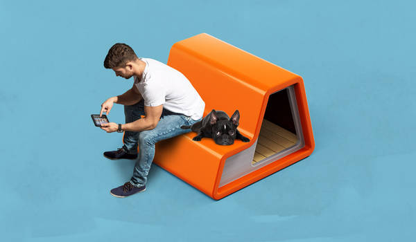 犬小屋を再定義　ALWAYS TOGETHER DD-1