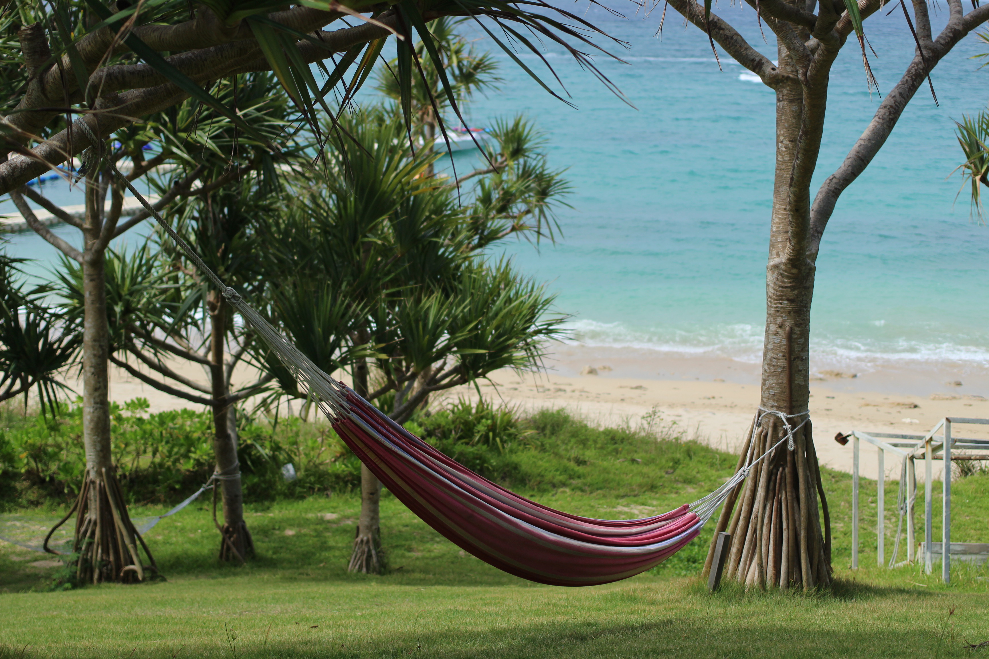 就職活動0でも社会人になれた話！