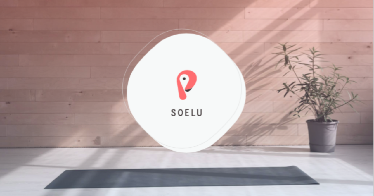 【2018→2019】SOELUチームがこの1年で投資したこと