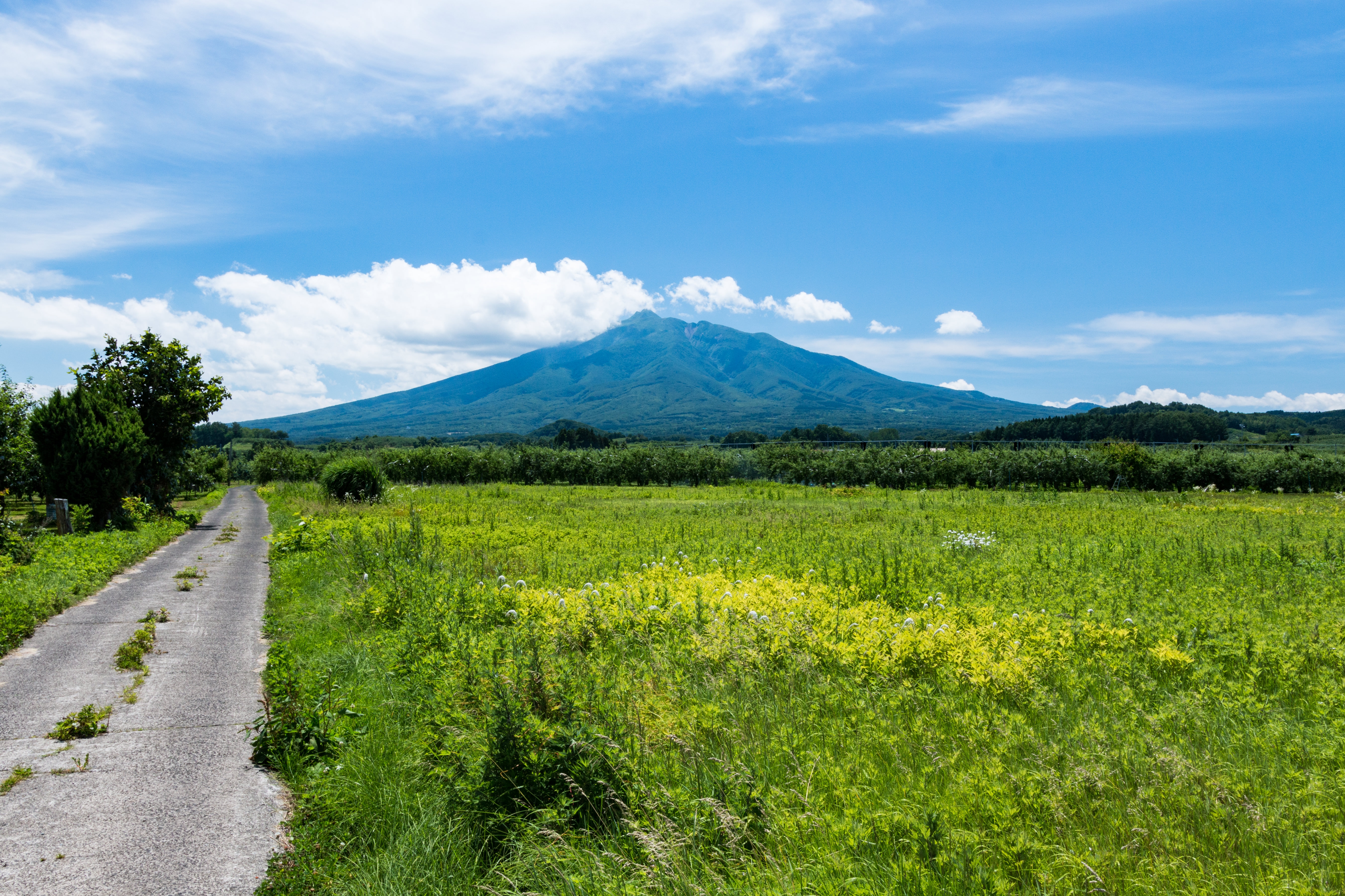 新卒採用についての「詩」を書いてみた