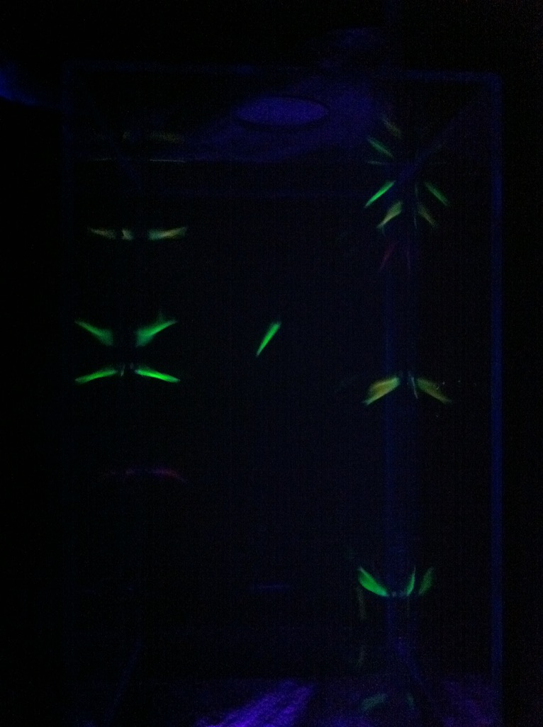 バイオサイエンスから機械学習へ