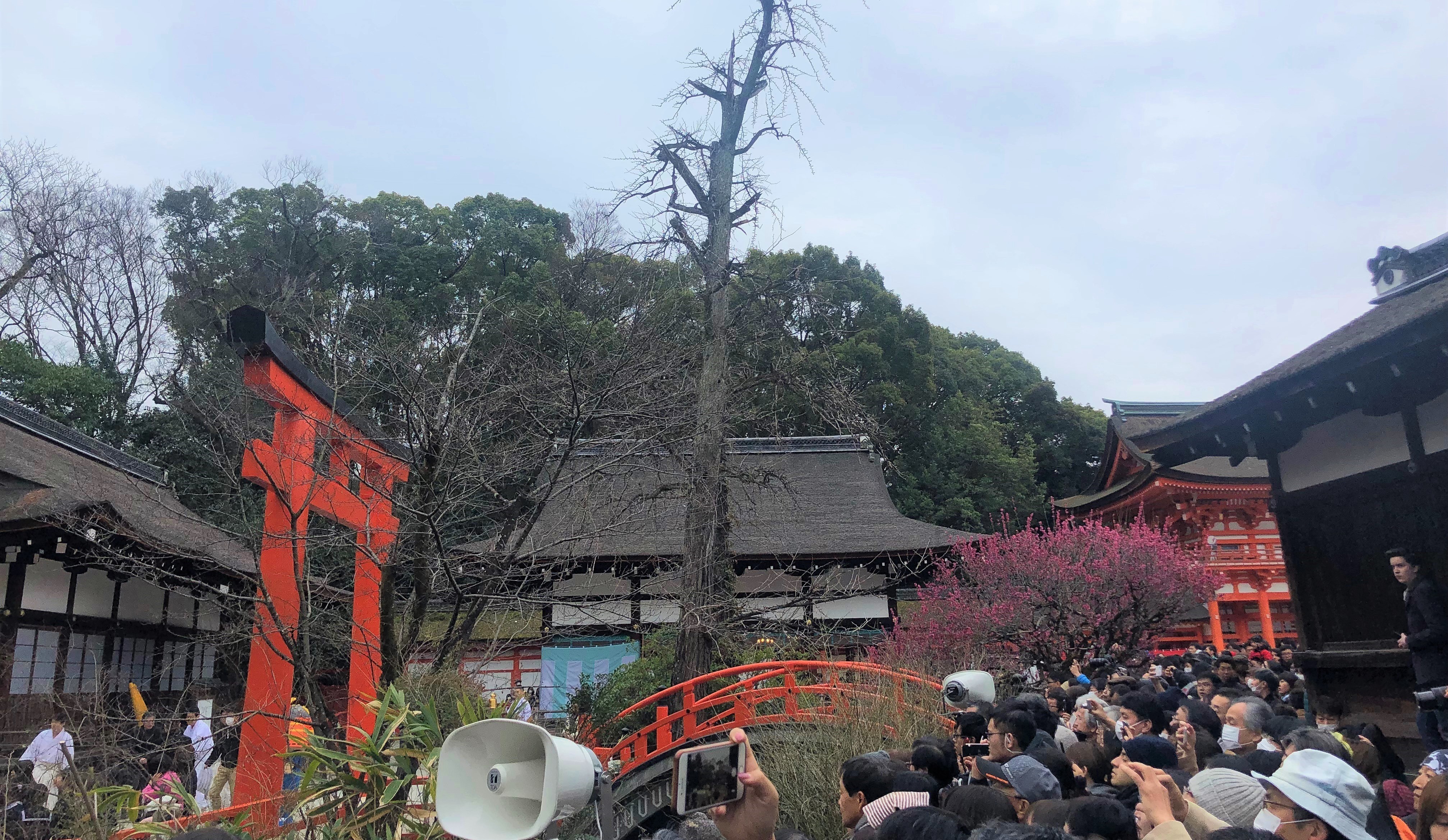 京は下鴨神社の流し雛、、、