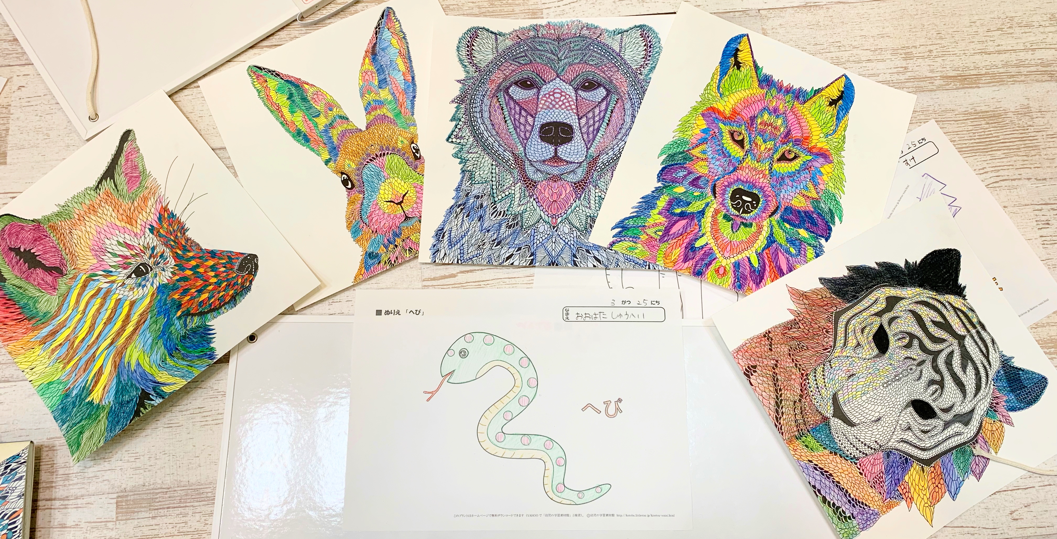 3月いきもの部活動レポート：）今回「塗り絵」を行いました！