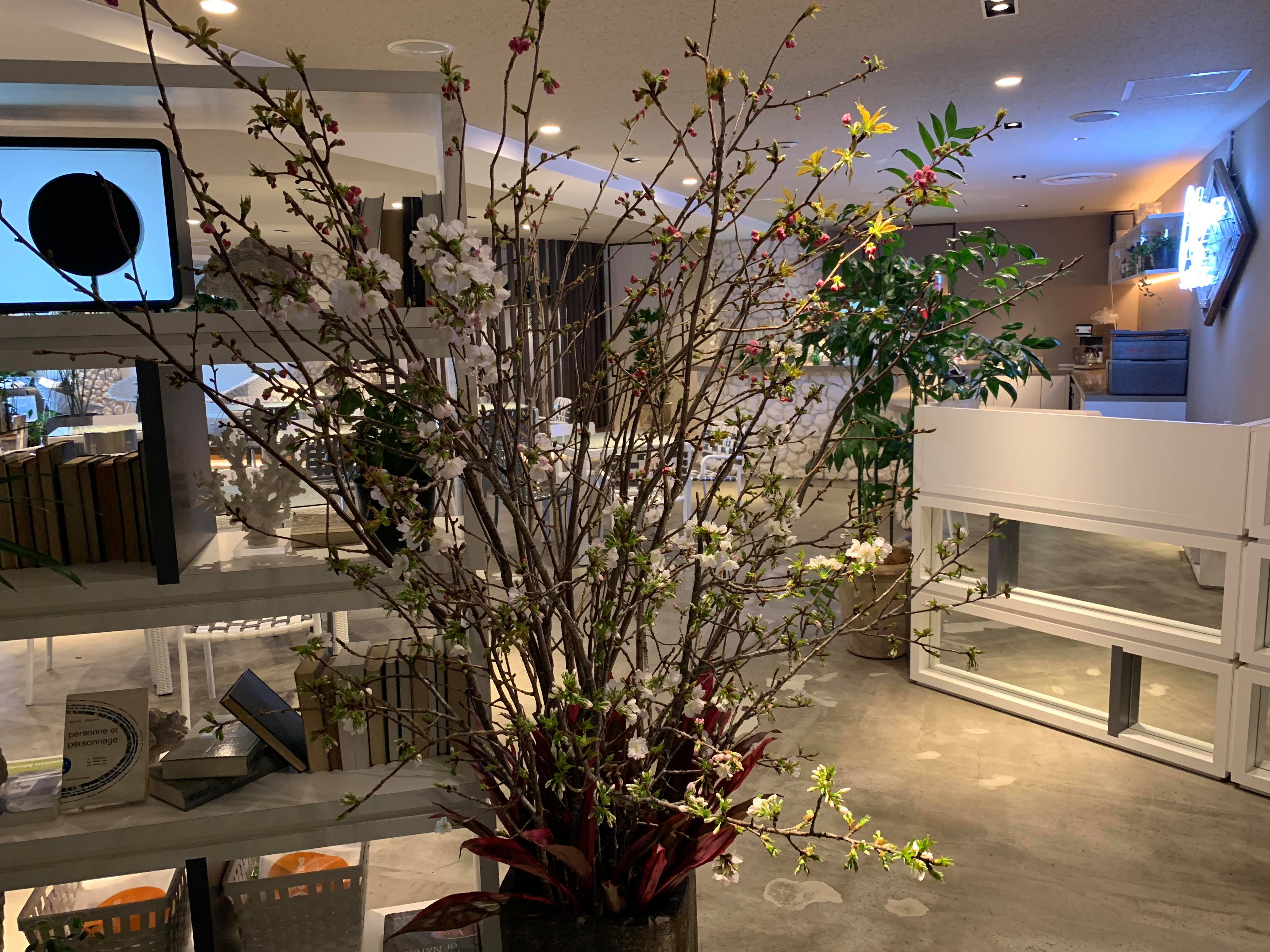 桜が咲く頃に入社する新入社員たちにむけて、一句読みました。