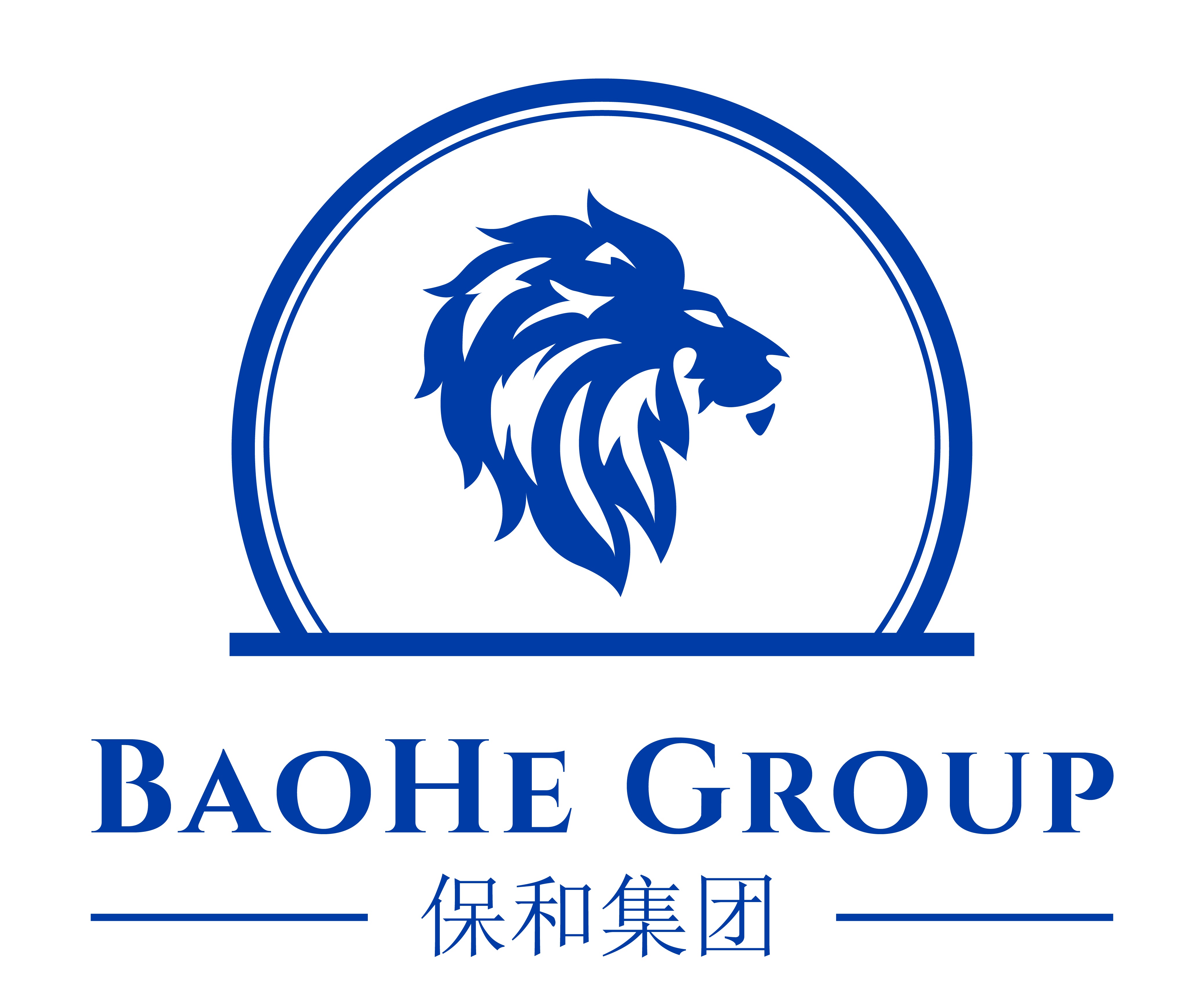 Ba He Immigration Specialist Pte.Ltd.