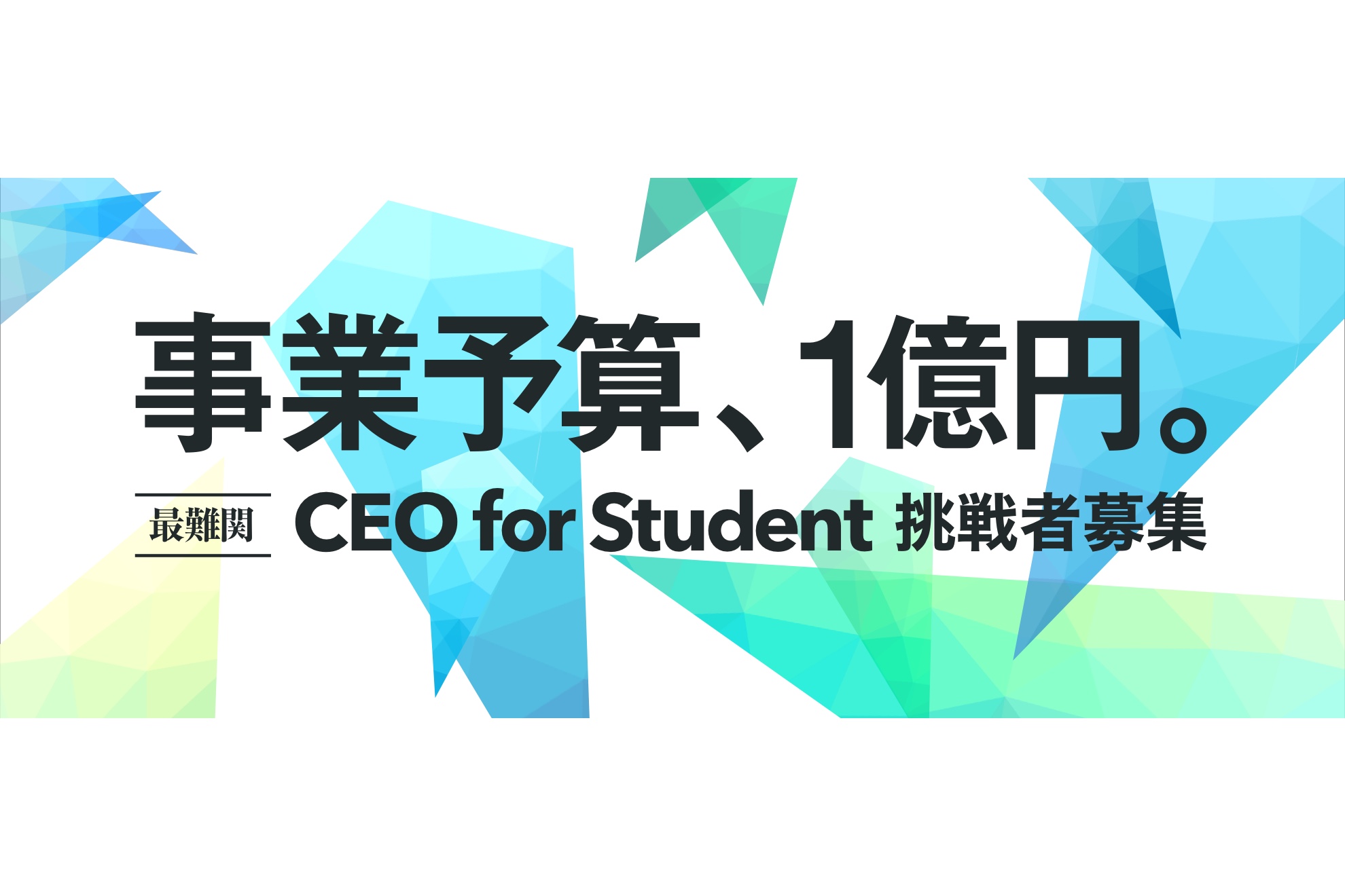事業予算、1億円。最難関の長期学生インターン「Company CEO for Student」