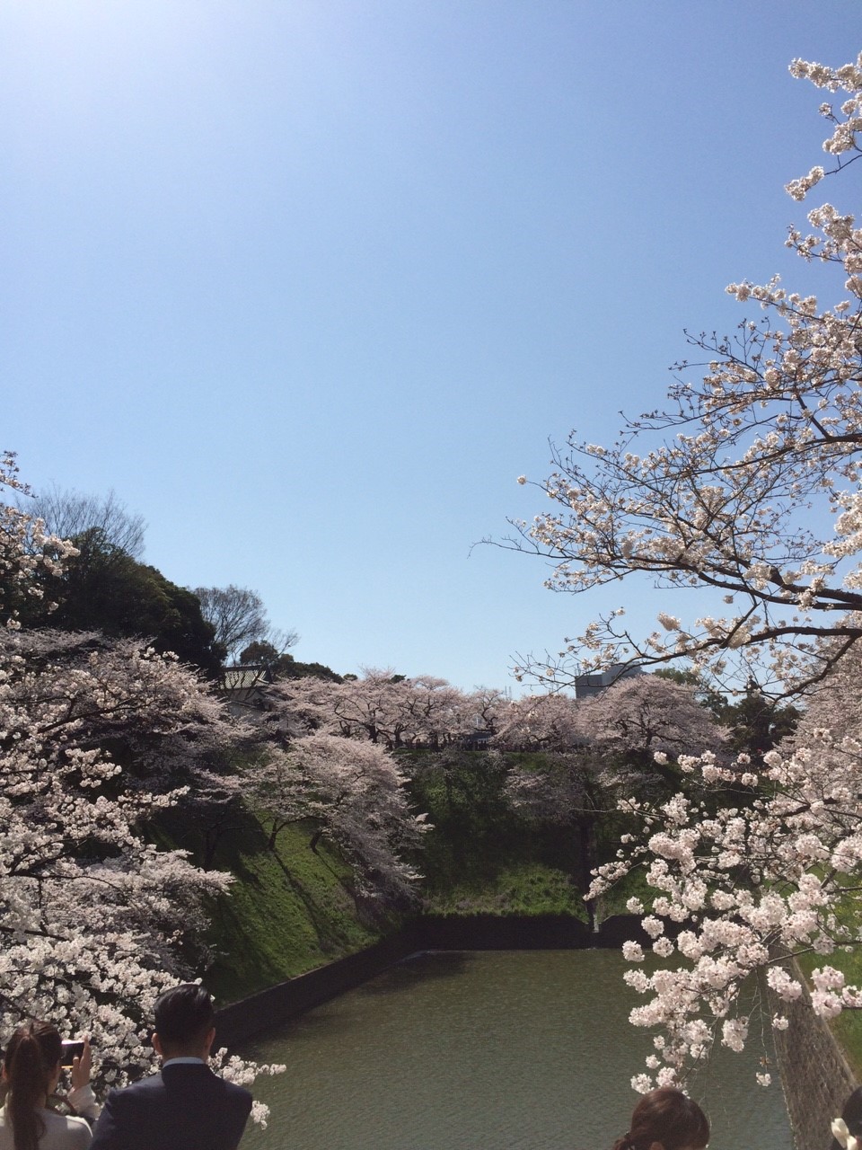 社会人１年目を振り返って／株式会社ONE FOR ONE（ワンフォーワン）by鈴木