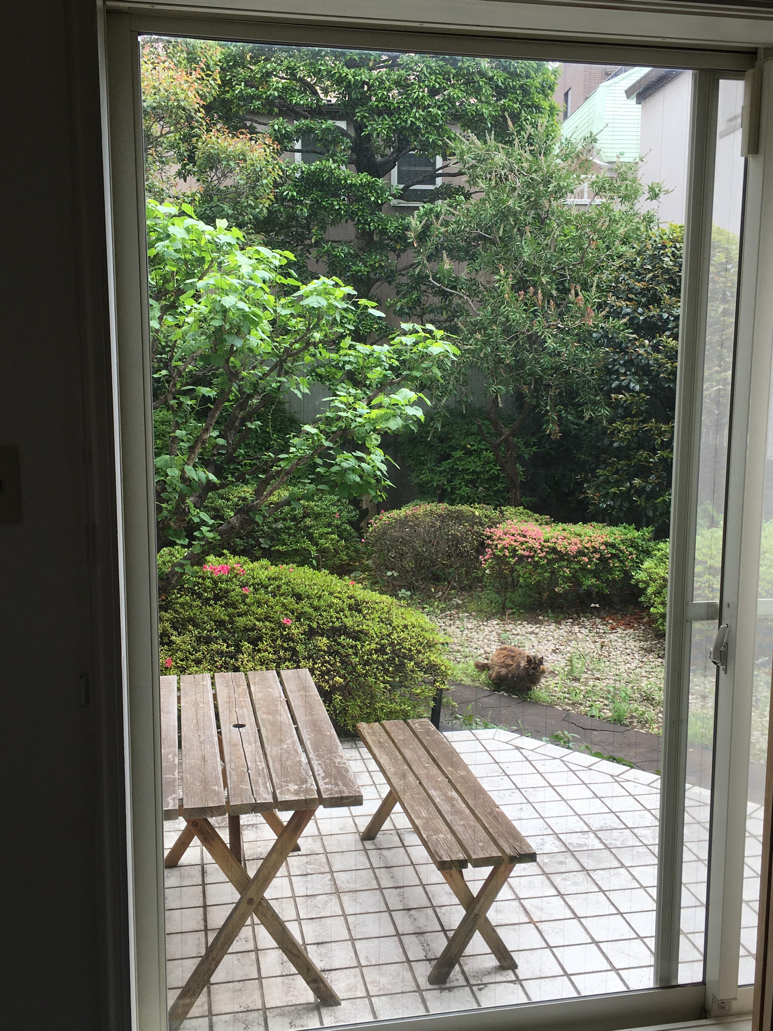 仕事の合間の気分転換〜植物の水遣り〜
