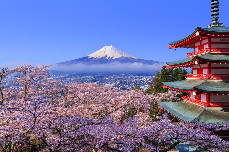 『日本の英語教育を変えたい』