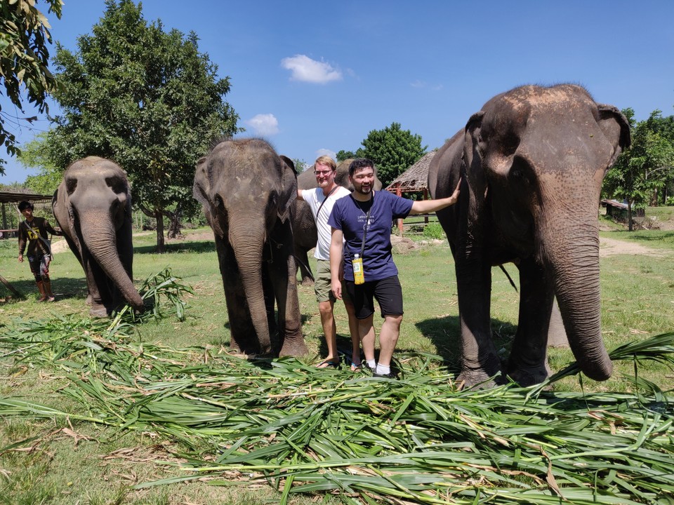 Elephant’s World – The elephant sanctuary