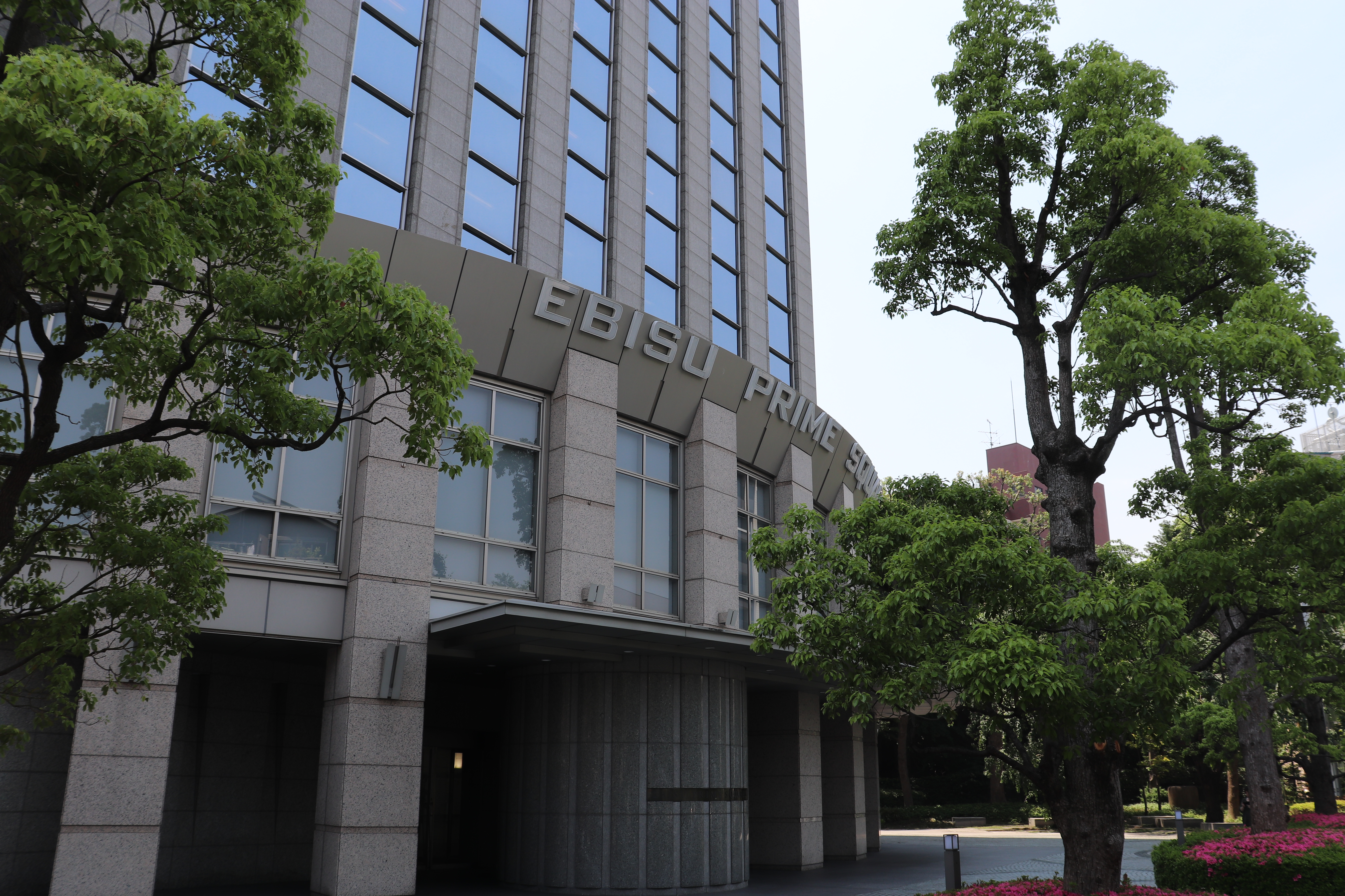 オフィス移転から一週間。新しい場所でワンフロアで仕事してます。