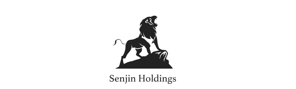 なぜ、Senjin Holdingsを創業したのか