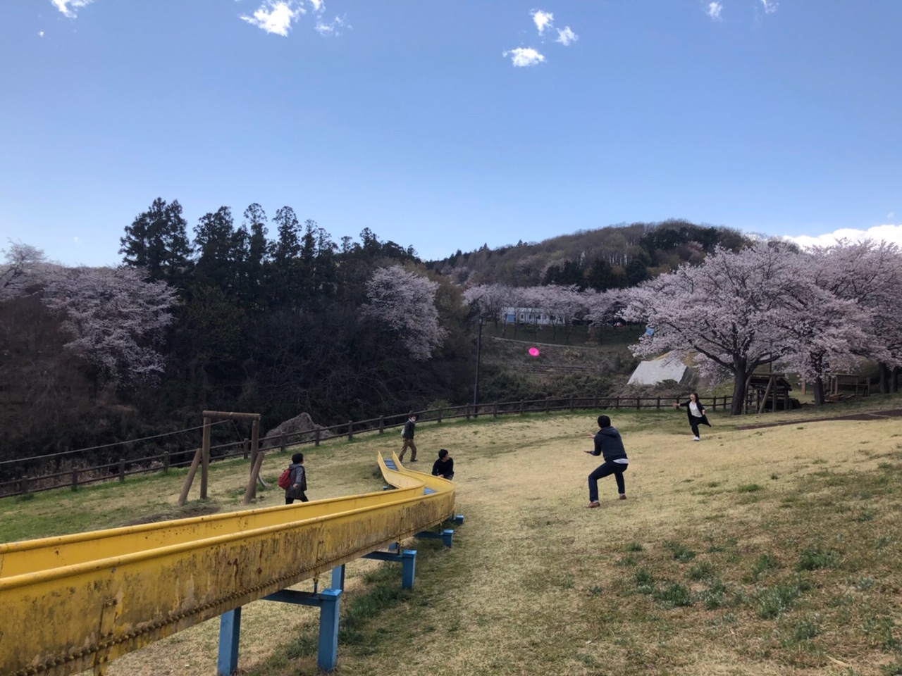 【株式会社farmo】私たちのオフィスがある栃木県鹿沼市はこんな場所です！