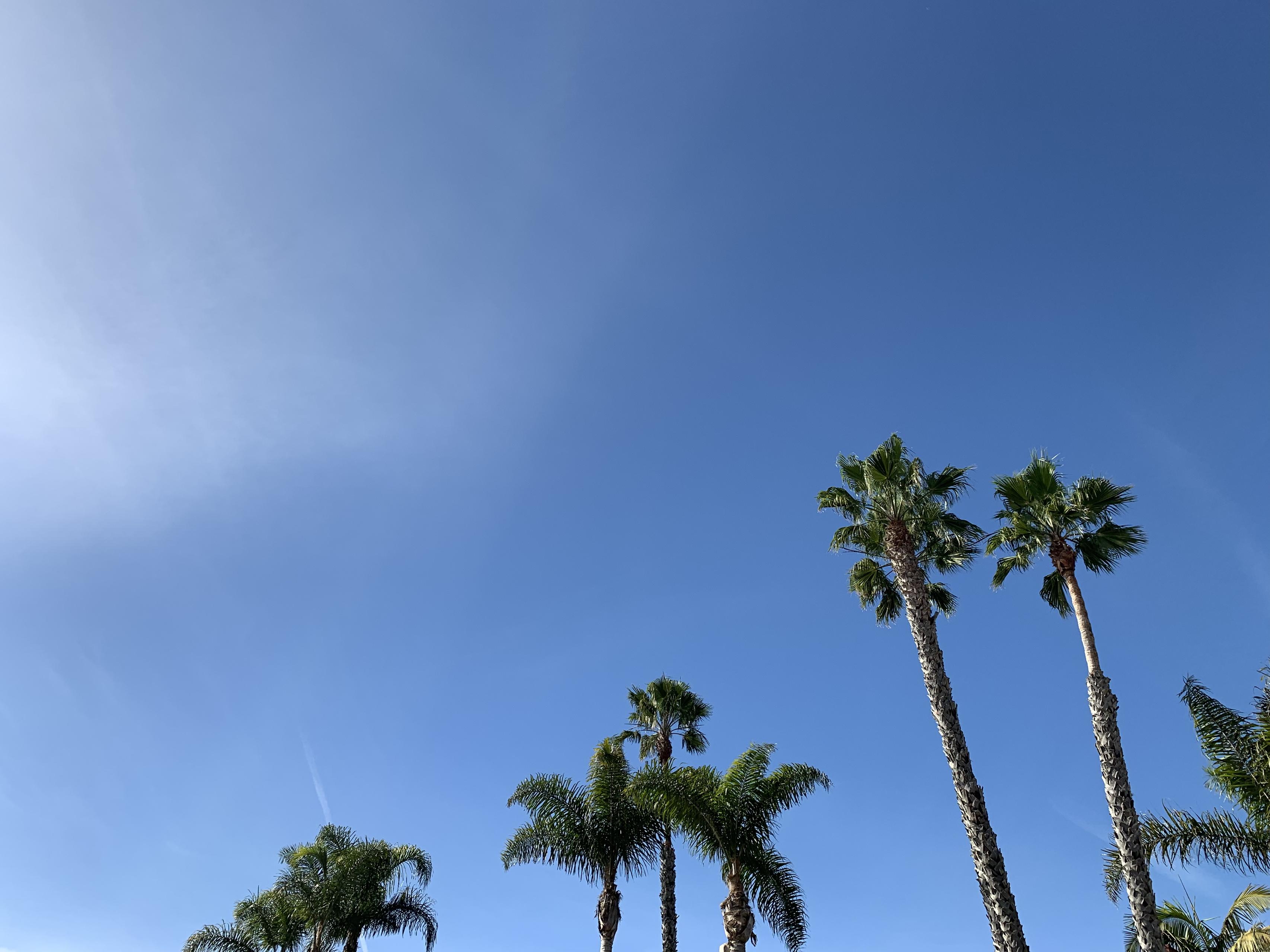 人生観が変わったアメリカでの写真留学