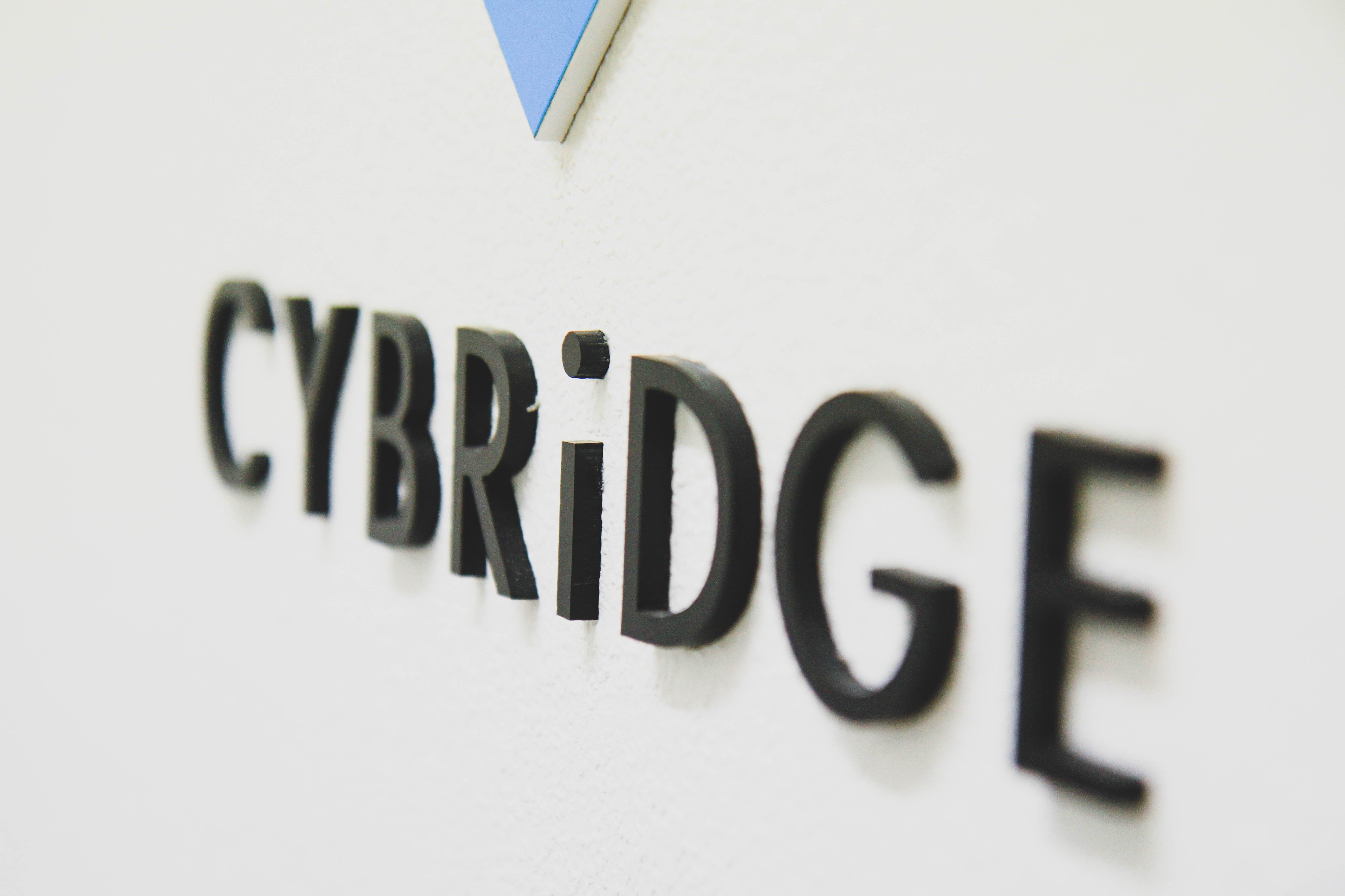 在籍社員に聞いてみた、サイブリッジってどんな会社？