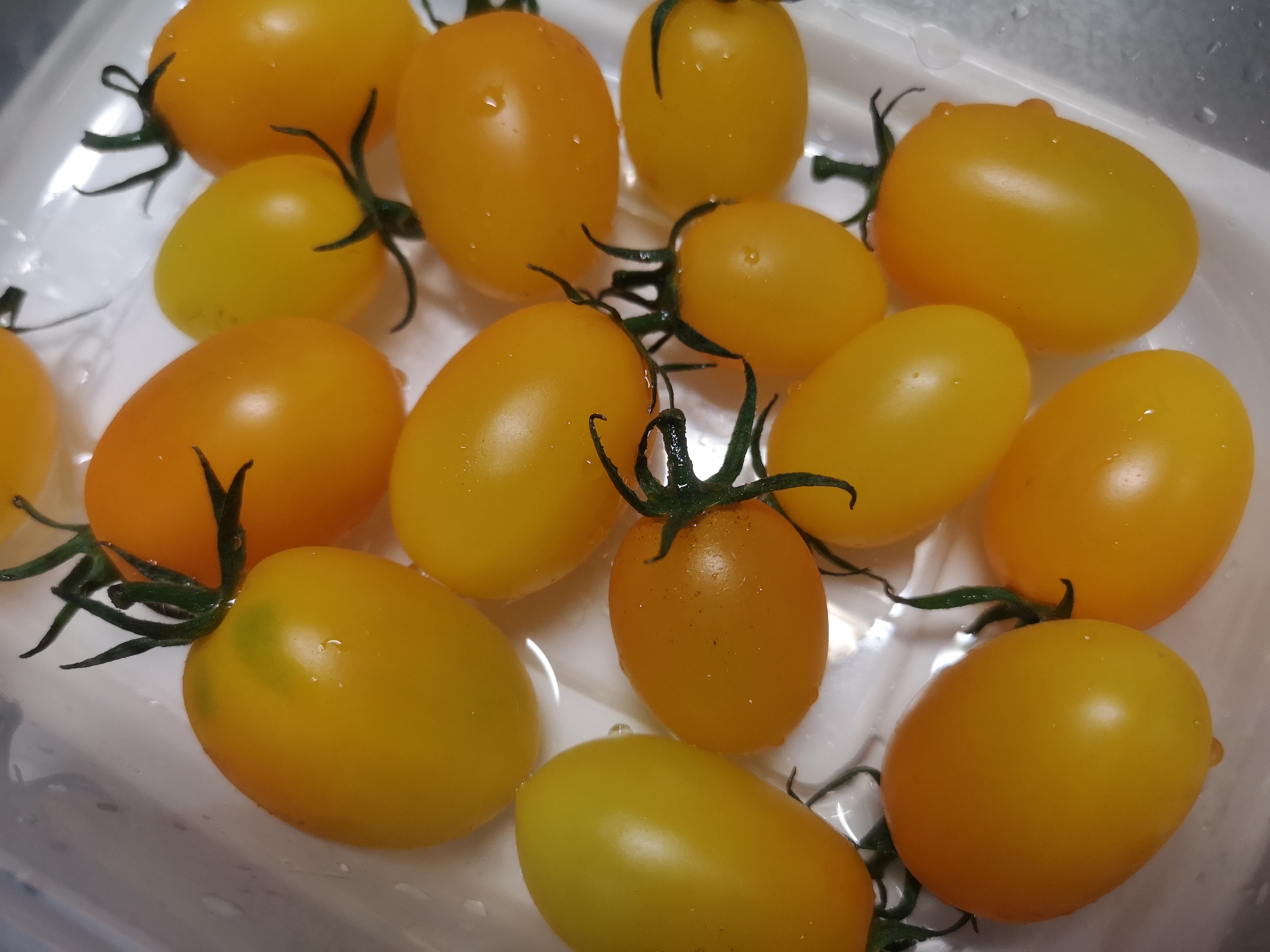 よくわからないのに…