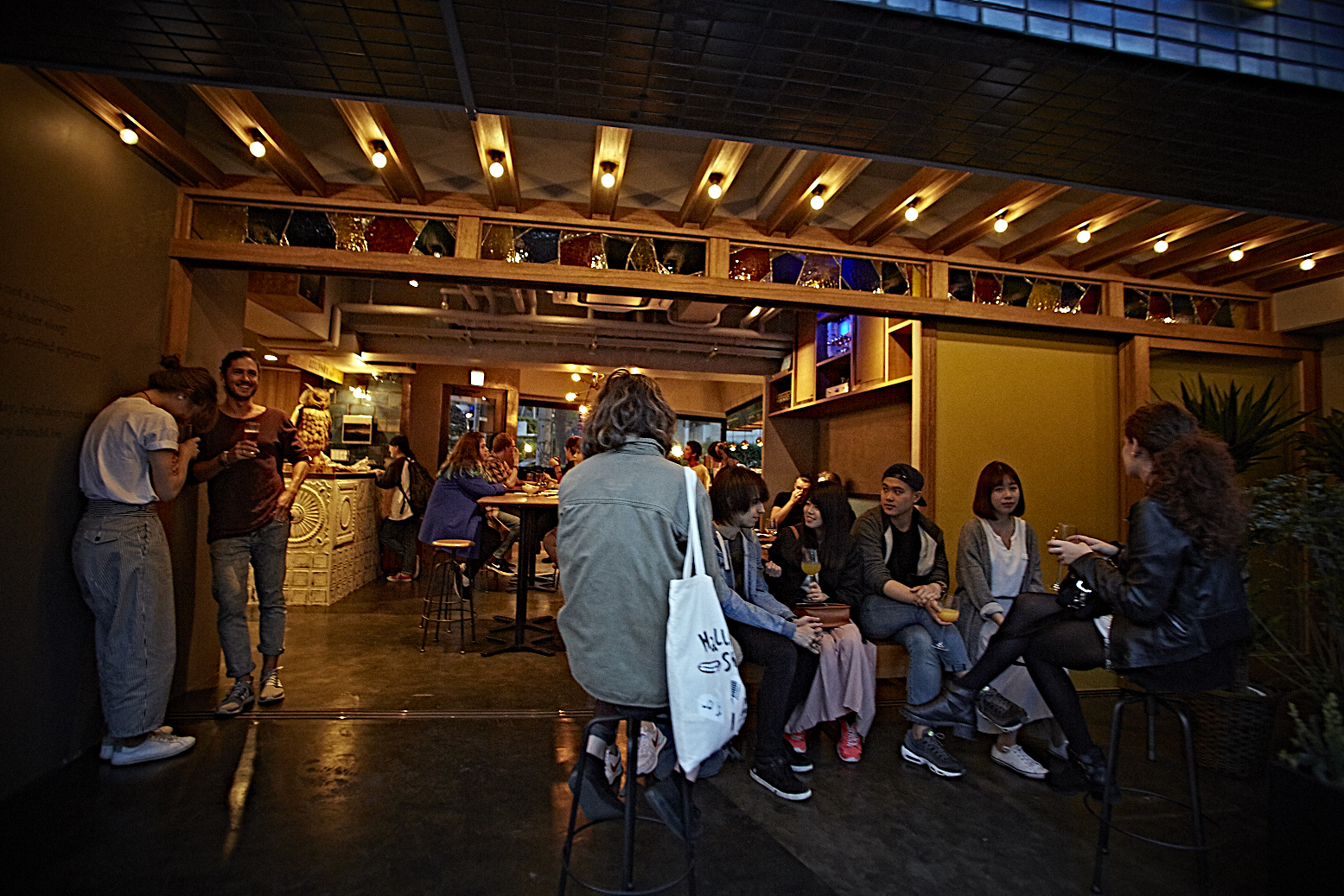 WISE OWLで得られること