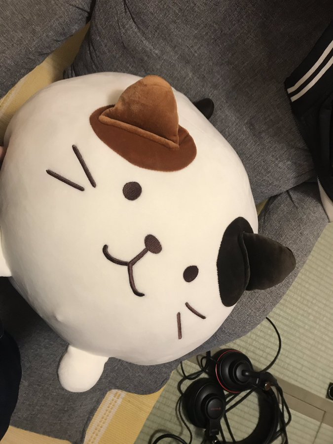 プロフィールの猫